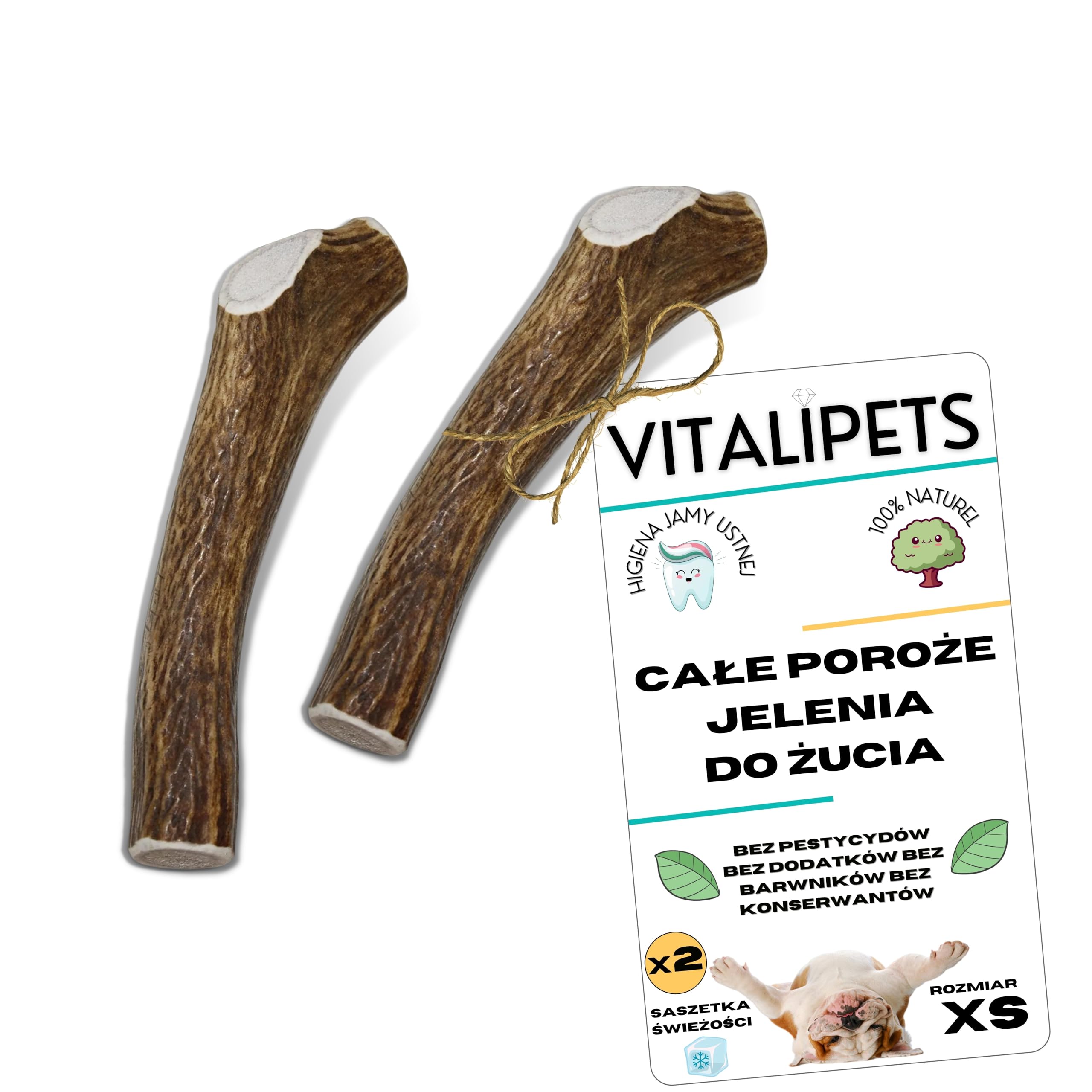 Poroże jelenia dla psa, Rozmiar XS Psy Miniaturowe i Szczenięta, 2 szt | Usuwa kamień nazębny, Źródło minerałów, 100% Naturalny gryzak, Ultra wytrzymały, Bez konserwantów