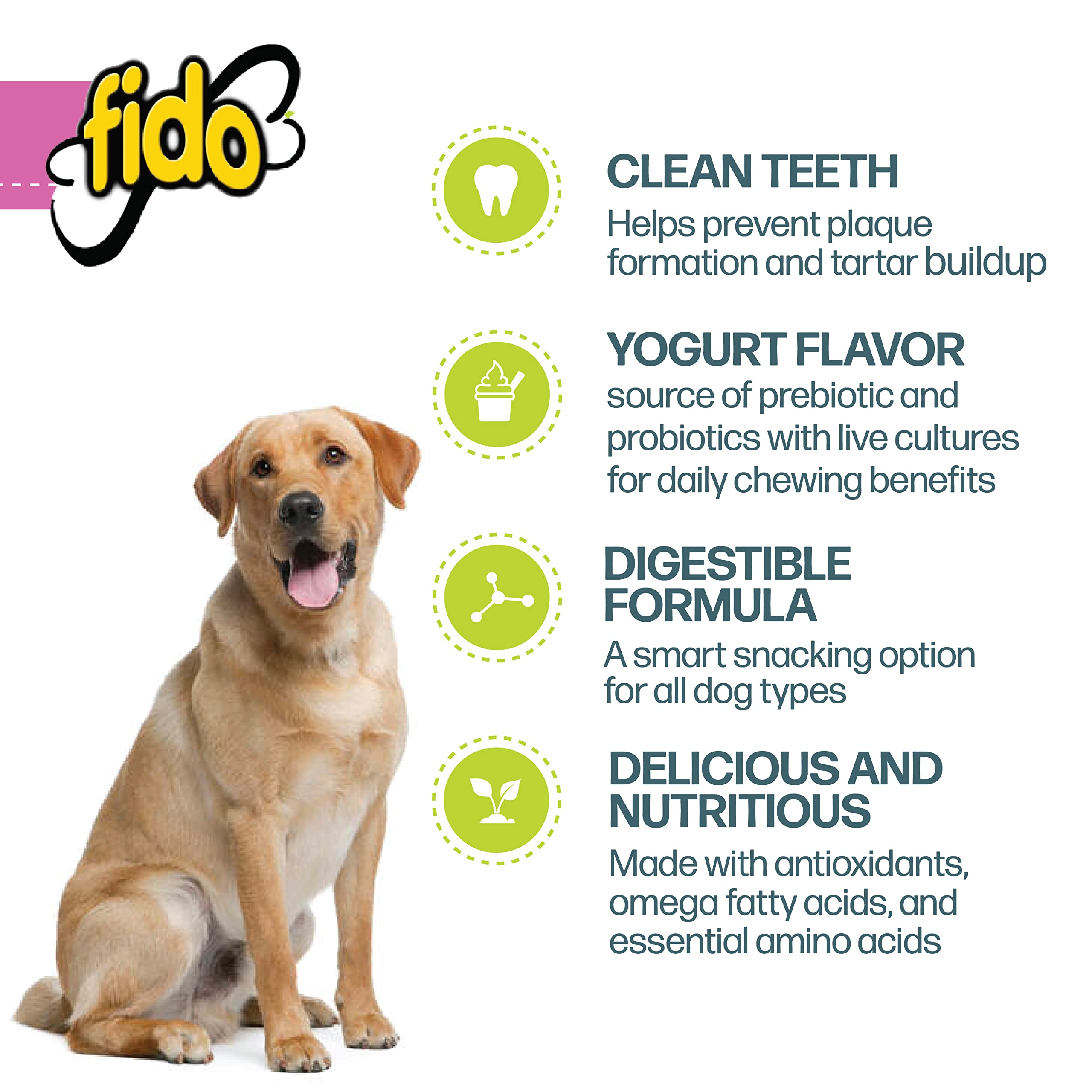 How Much Does Dog Day Care Cost In Nyc