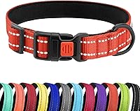 Vista 33 de CollarDirect Reflective Dog Collar for a Small, Medium, Large Dog or Puppy with a Quick Release Buckle - Boy and Girl - Nylon Suitable for Swimming