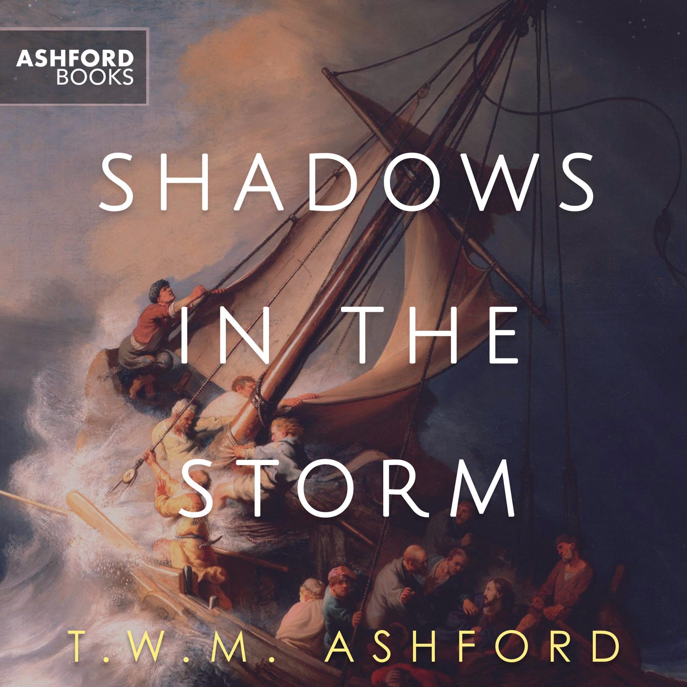 Cover art for Shadows in the Storm