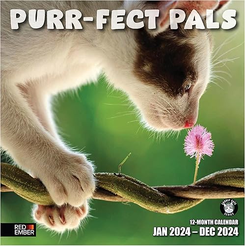 RED EMBER Purr-fect Pals Cats  Calendarios de pared mensuales colgantes 2024  12 x 24 pulgadas abierto  Papel brillante grueso y resistente  Gatitos