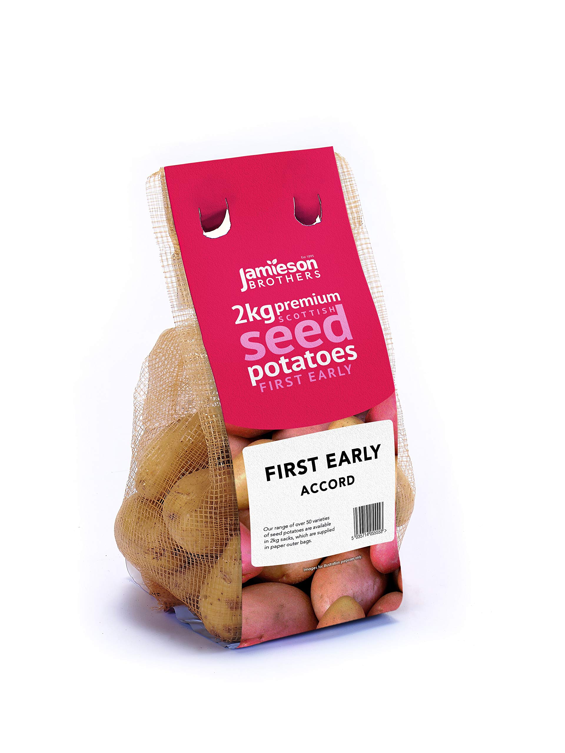 Jamieson Brothers2kg Accord Seed Potatoes – JBA First Early Grow Your Own Spuds – Great for Salad, Baking, Boiling & Chips – Scottish-Grown & Ready to Plant in Pots, Gardens & Allotments