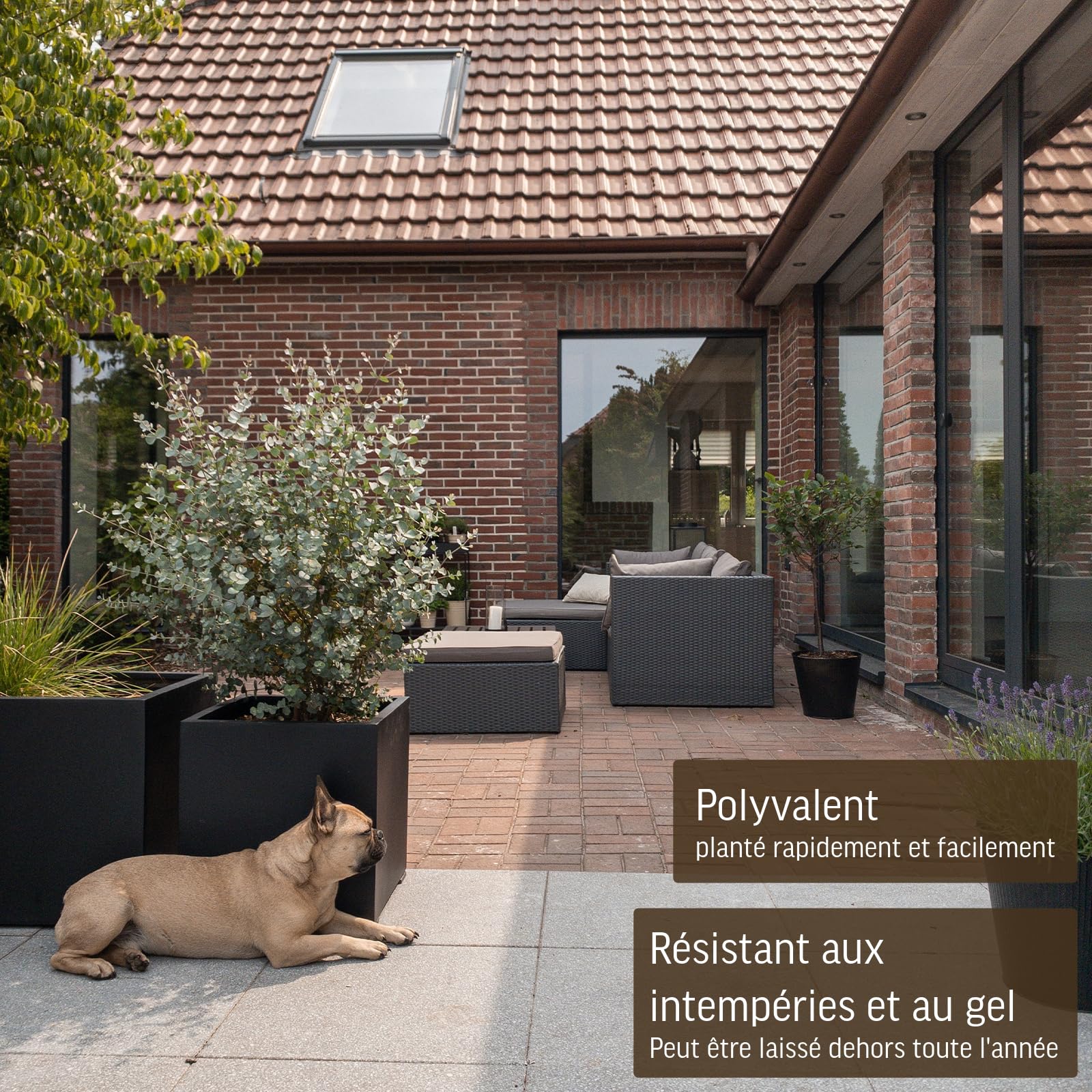 VIVANNO Jardinière en Fibre de Verre 40x40x40 cm Anthracite Mat Carrée Extérieur Intérieur