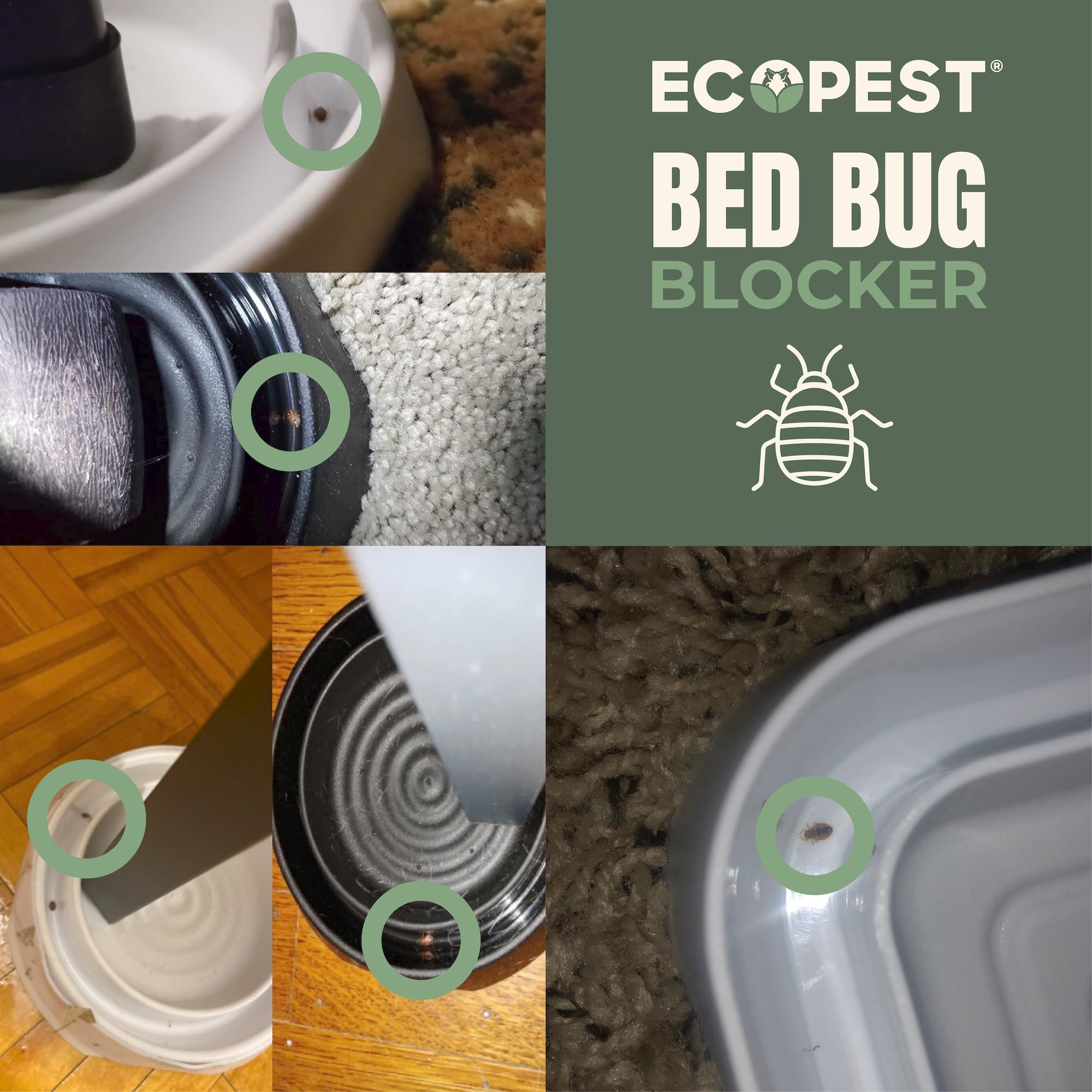 Intercepteurs de Punaises de Lit – Lot de 8 | Bed Bug Blocker (Pro) Pièges Intercepteurs (Blancs) | Piège à Insectes, Dispositif de Contrôle, et Détecteur pour Pieds de Lit