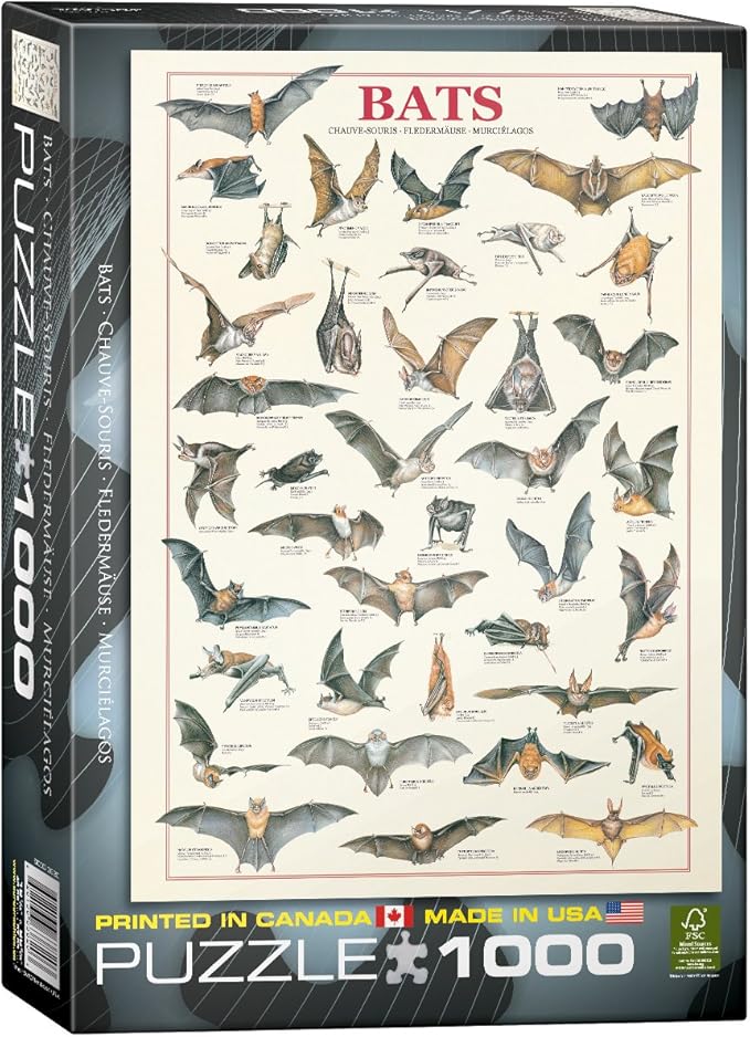 Eurographics Bats 1000Piece Puzzle, Jigsaw Puzzles Amazon Canada