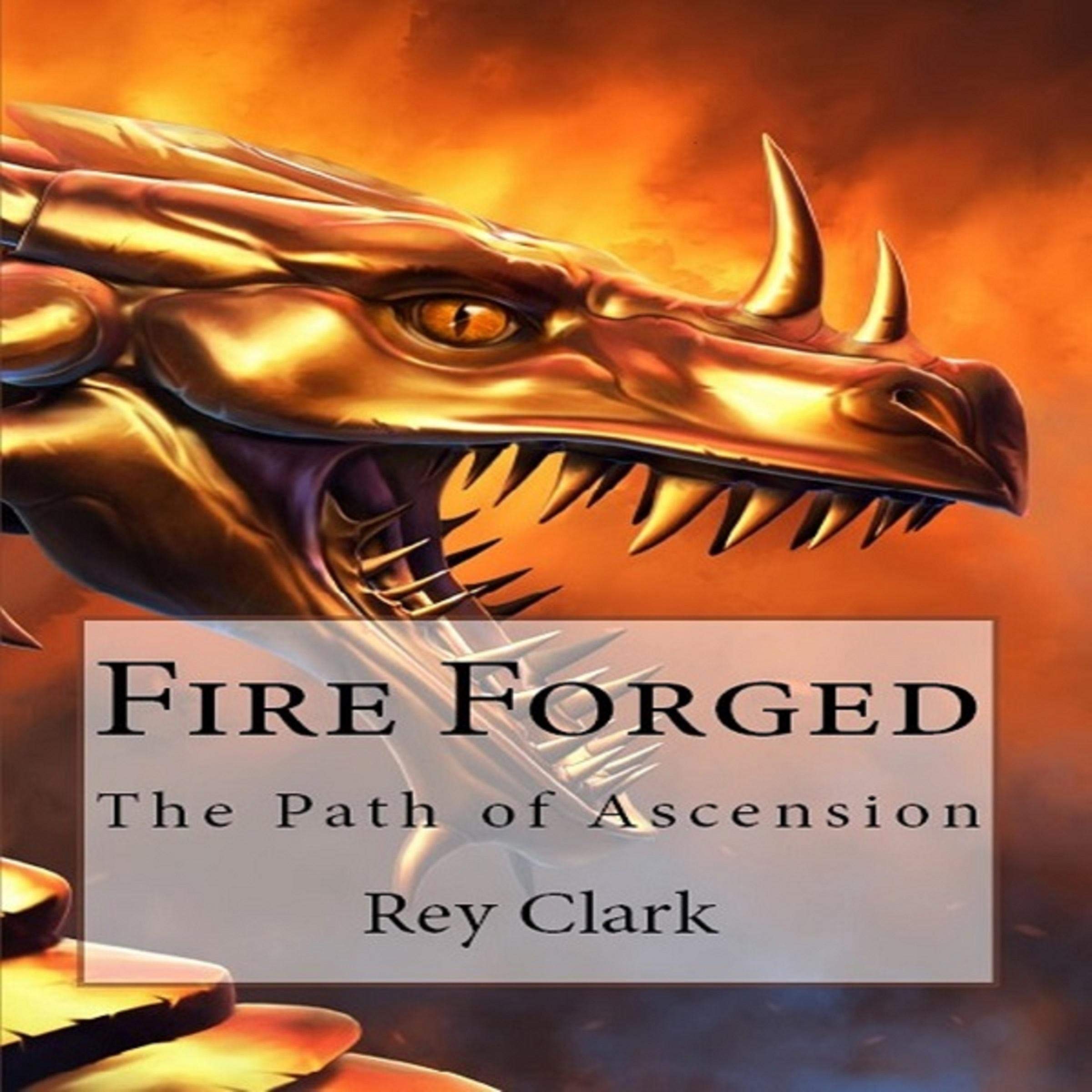 Cover art for Fire Forged
