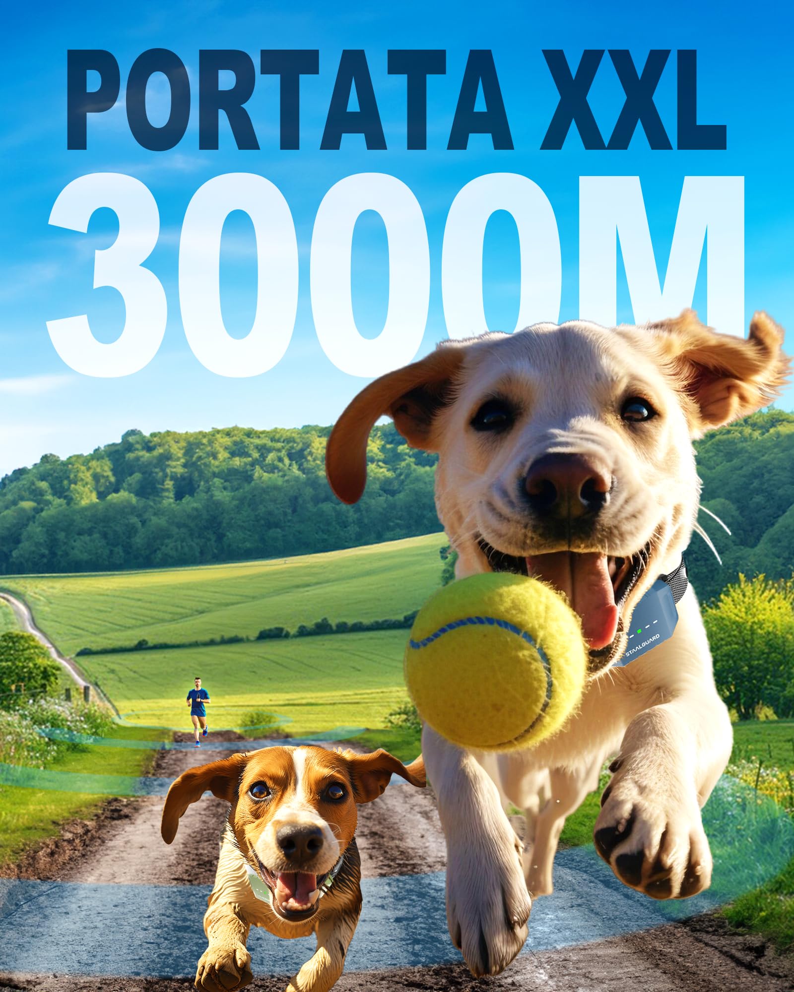 Collare da Addestramento per Cani, Senza Scossa Elettrica, BIP, Vibrazione e Boost, Portata 3km, Ultra Compatto, Ricaricabile, Autonomia 30 Giorni, Impermeabile IP67, Adatto a Tutti i Cani