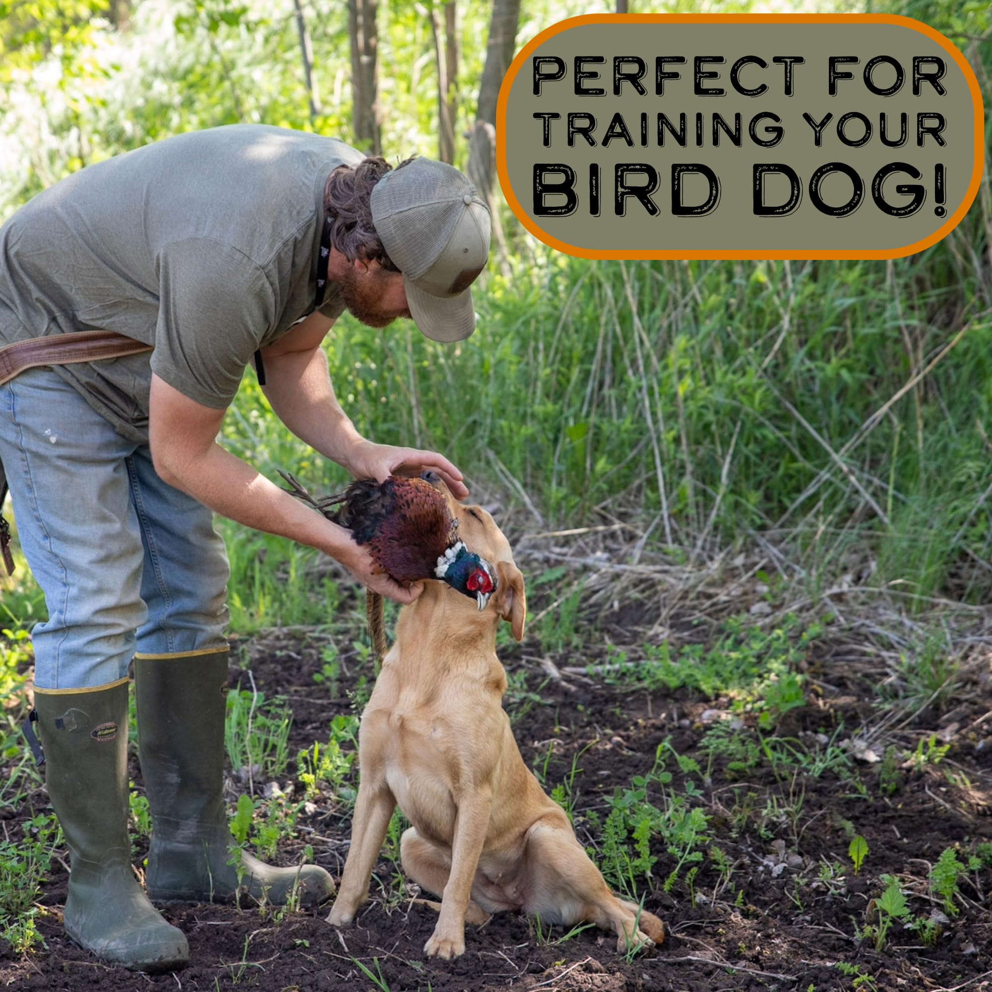 Lenon Lures Pure Wolf Urine (1/2 Gallon)