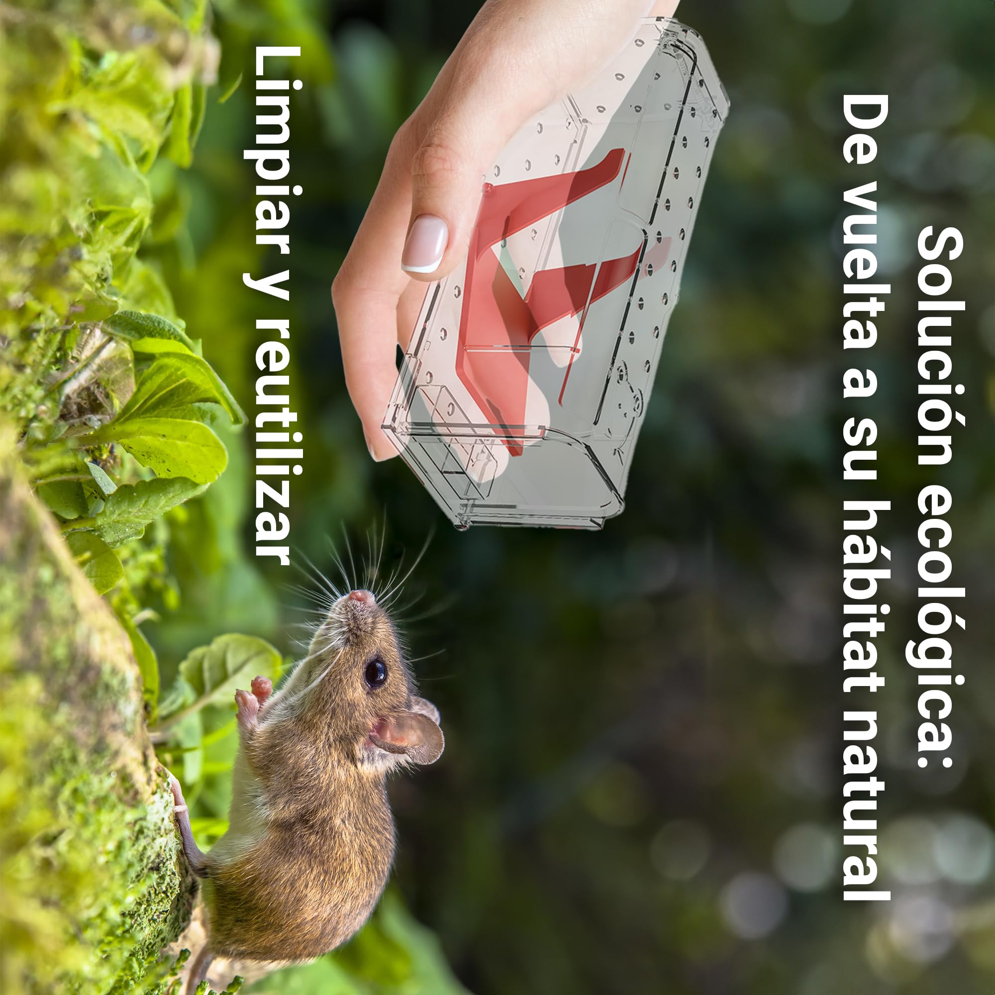 Roshield 4 X Trampas humanas para Ratones en Interiores y Exteriores, Trampa de plagas para atrapar Vivos. Amigable con Mascotas y niños. Trampa Reutilizable para roedores y Ratones.