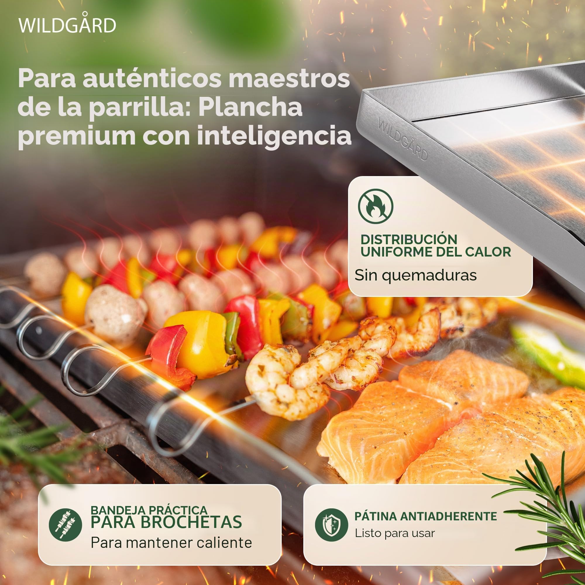 Plancha – Placa de Acero Inoxidable Grueso – 30 x 20 cm – Adecuado para barbacoa de gas y BBQ de carbón +PLUS: 2x espátulas para parrilla y 5x brochetas