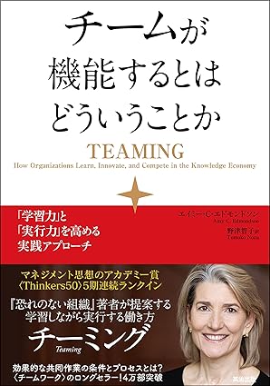 チームが機能するとはどういうことか ― 「学習力」と「実行力」を高める実践アプローチ