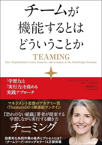 チームが機能するとはどういうことか ― 「学習力」と「実行力」を高める実践アプローチ