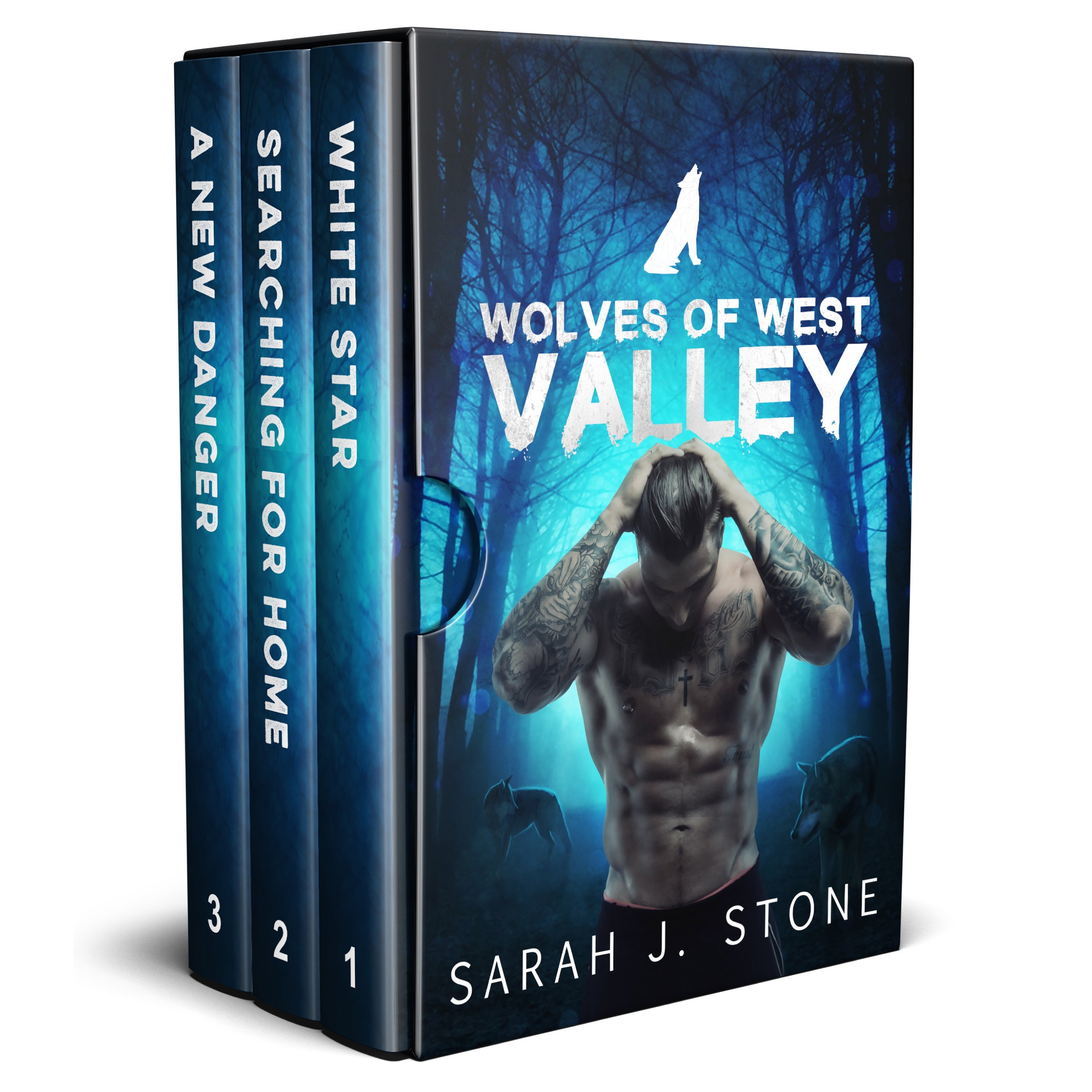 Cover art for Wolves of West Valley Box Set