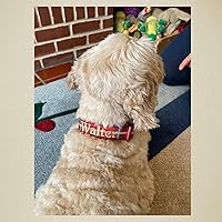 Vista 3 de Juego de collar de perro personalizado, collar de perro a cuadros y correa, collares de perro de tartán para niñas y niños para perros pequeños, rojo