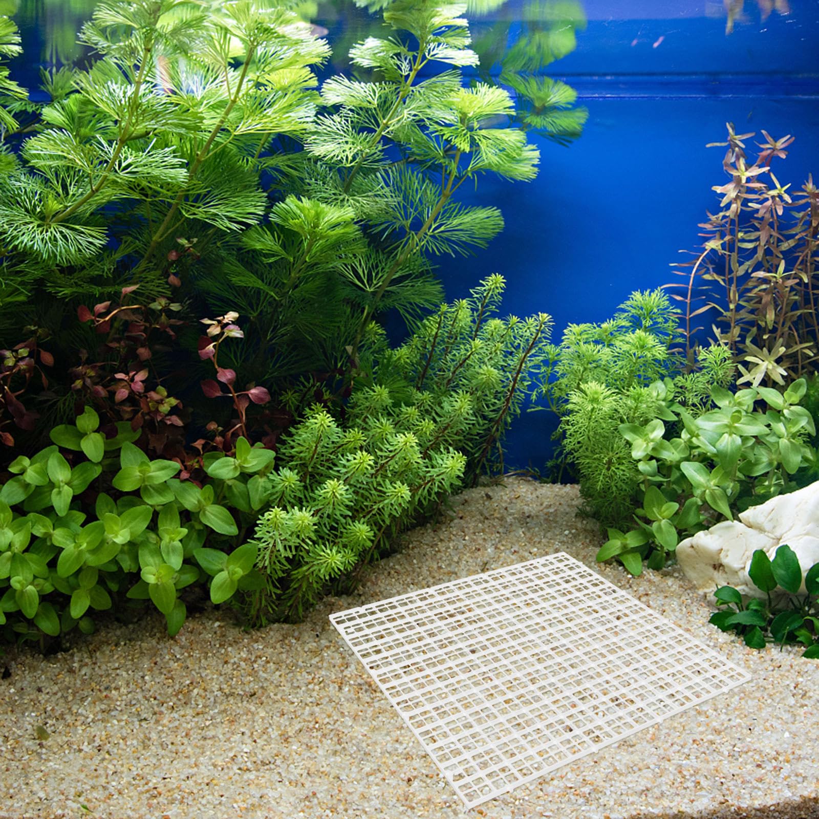 Aquarium Bodenfilterplatte Trennwand 8 Stück Weiß Kunststoff