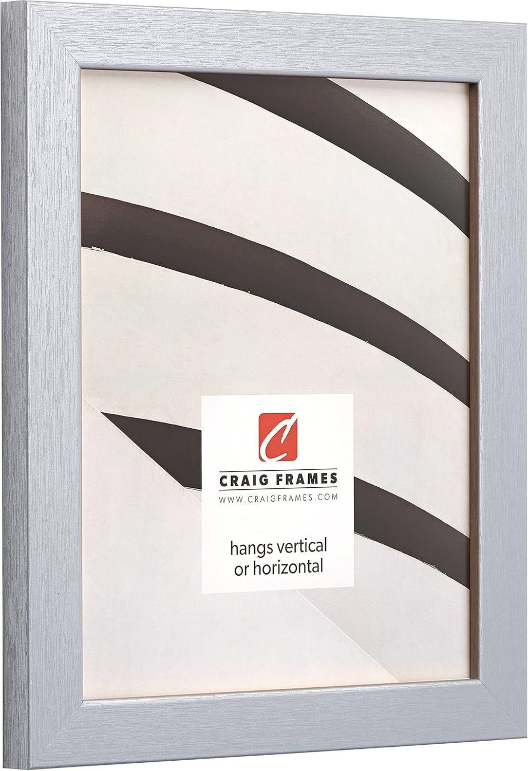 Craig Frames Essentials, Modern 1 Inch Picture Frame, 12 x 18 Inch, Brushed Silver