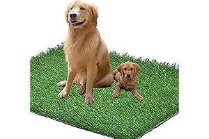 4FT x 6FT Dog Potty Training Grass: The Ultimate Potty Solution for Your Furry Friend