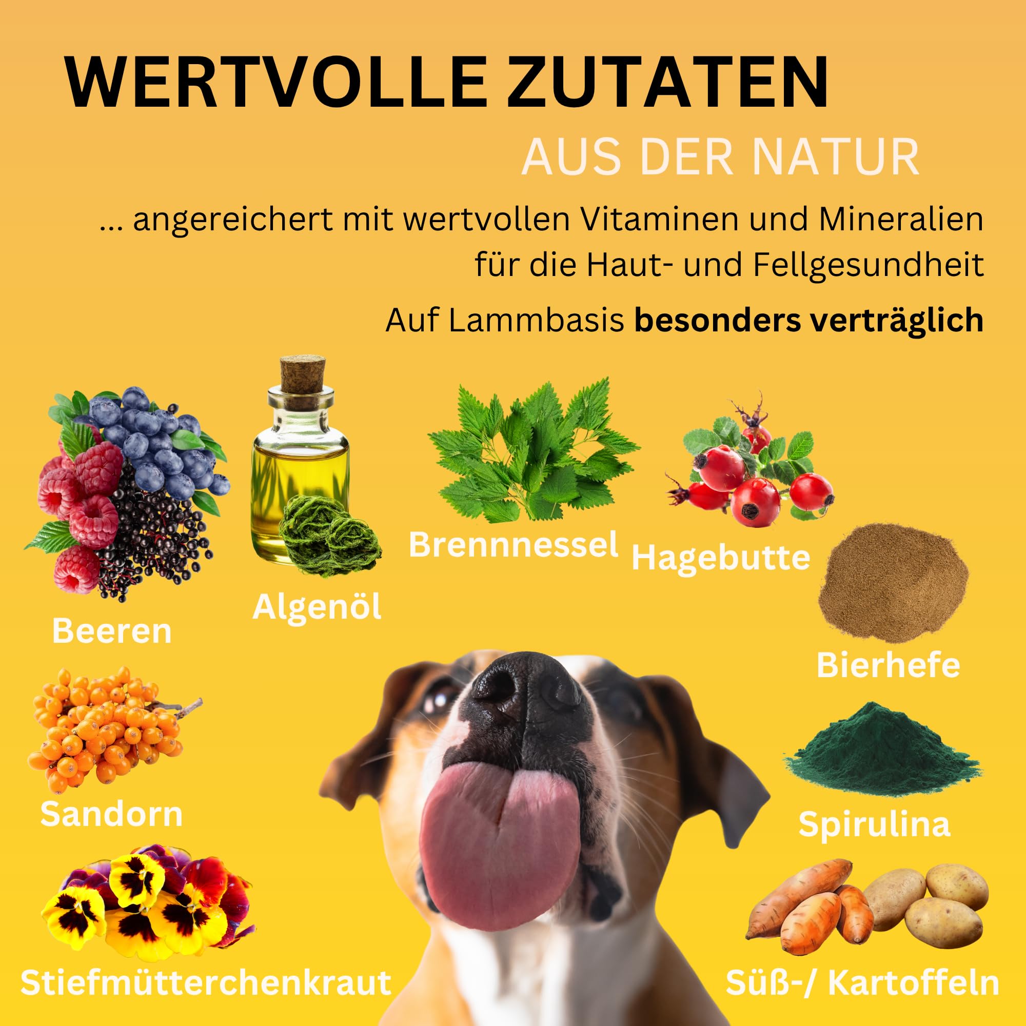Haut & Fell Drops mit Algenöl (Omega 3) für Hunde I gegen Juckreiz, Haarausfall & trockene Haut I für glänzendes Fell mit Biotin, Bierhefe, Vitamin E I 100% natürlich I ca. 120 STK.