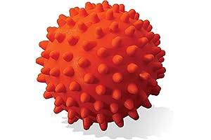 Ready Set Fetch All Weather Ball Launcher Ball