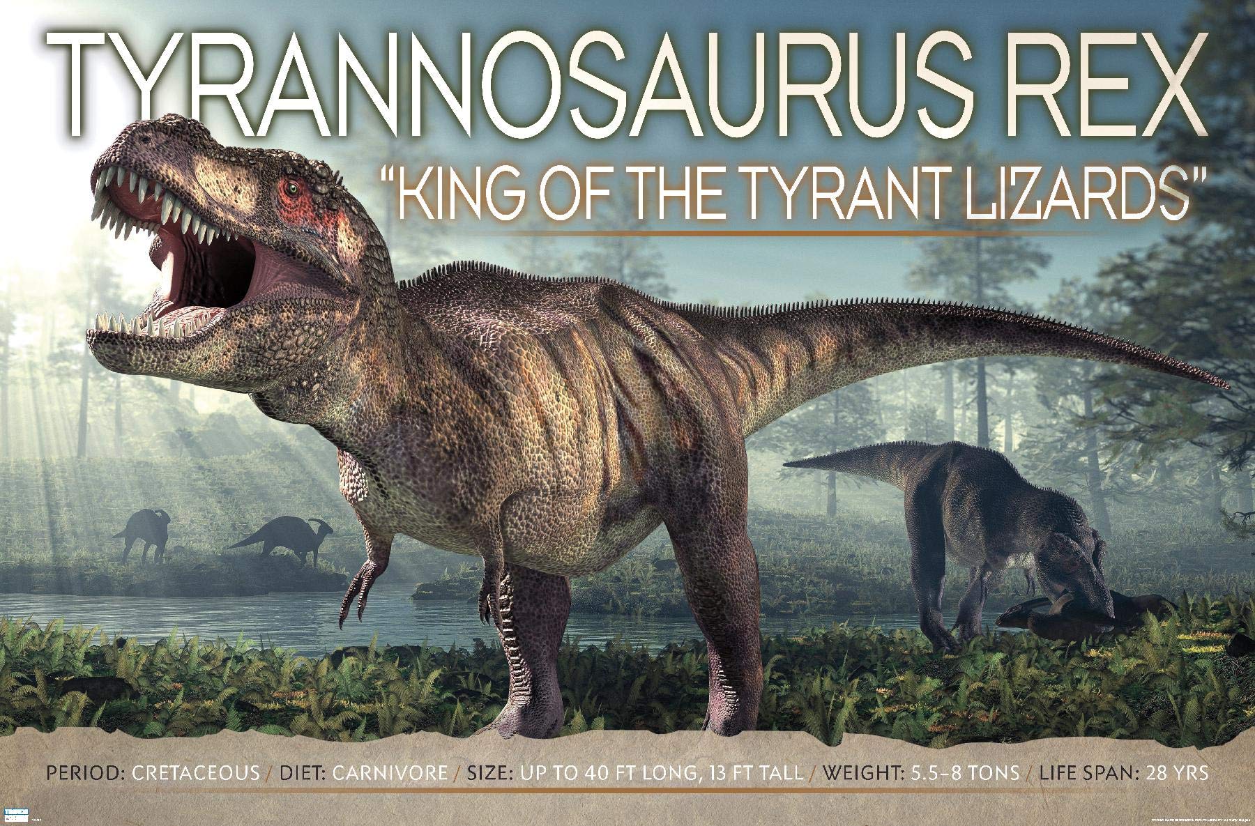 Amazon.com: Trends International Dinosaurs - T-Rex Wall Poster