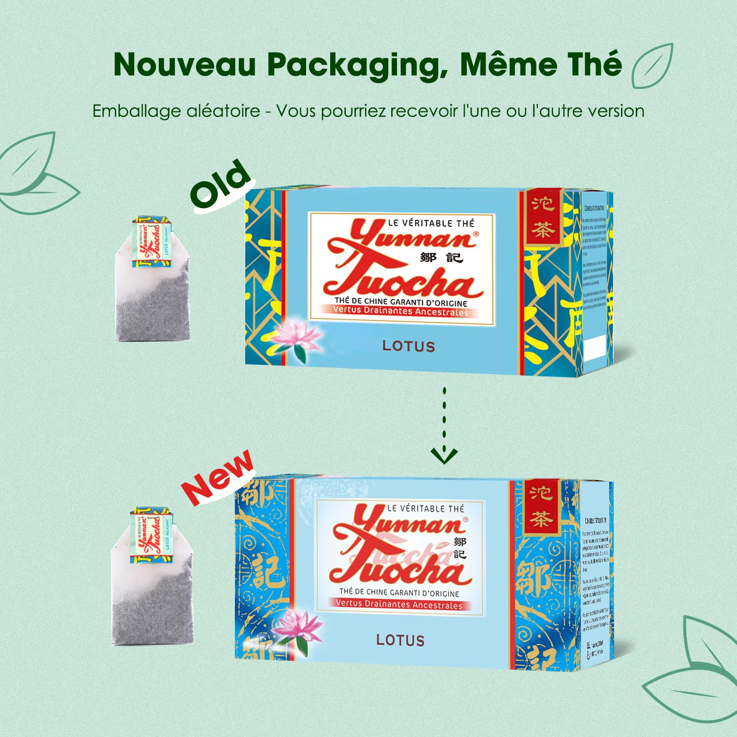 Yunnan Tuocha Zouji - Té Tuocha de Lotus - Orgánico - Calmante y relajante - 200 bolsas (10 x 20) - 400 g - Original Yunnan