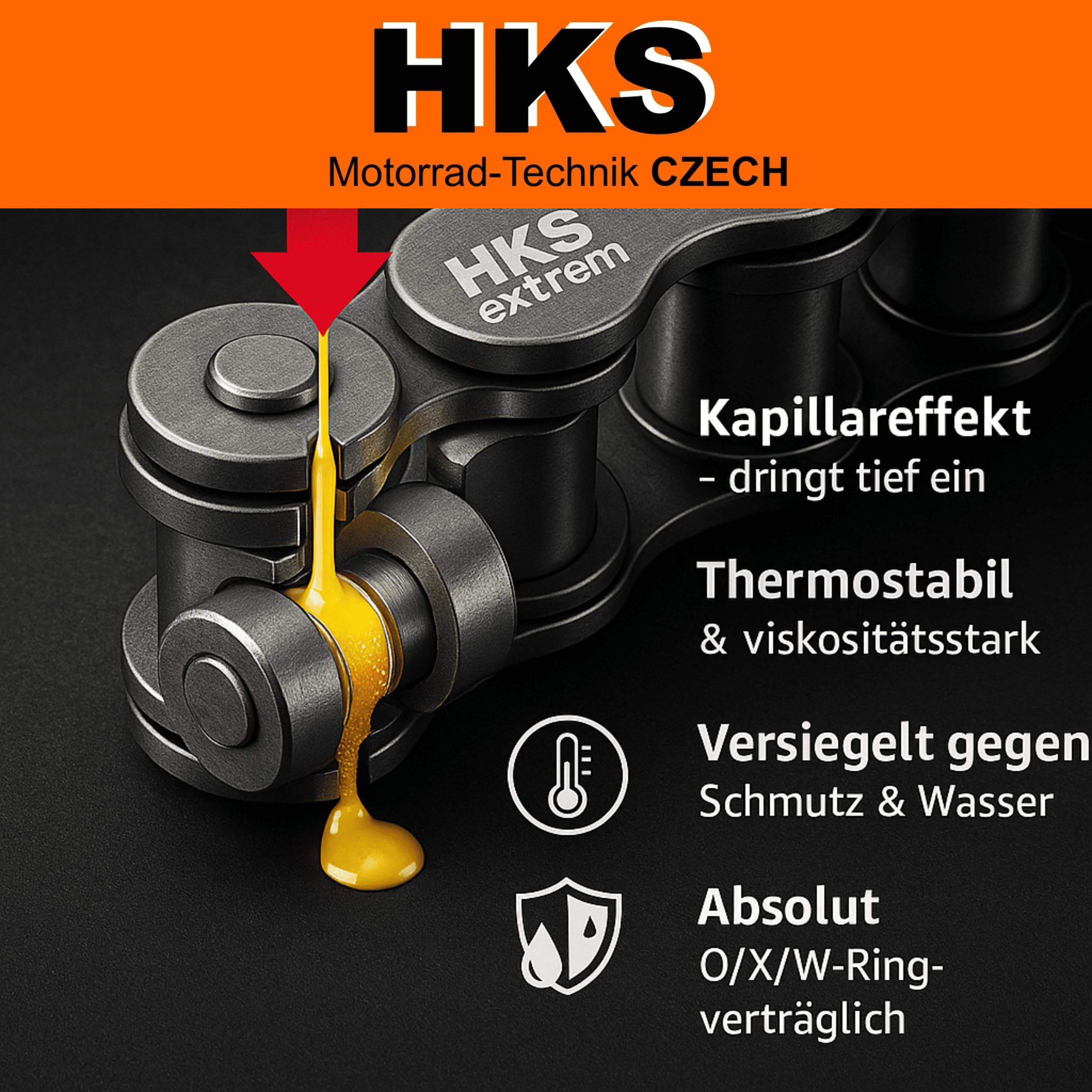 extrem New Generation – Hochleistungs Kettenspray 300 ml | Rein synthetisches Kettenschmiermittel | Wasserfest, haftstark & O/X-Ring verträglich (HKS EXTREM-Spray)
