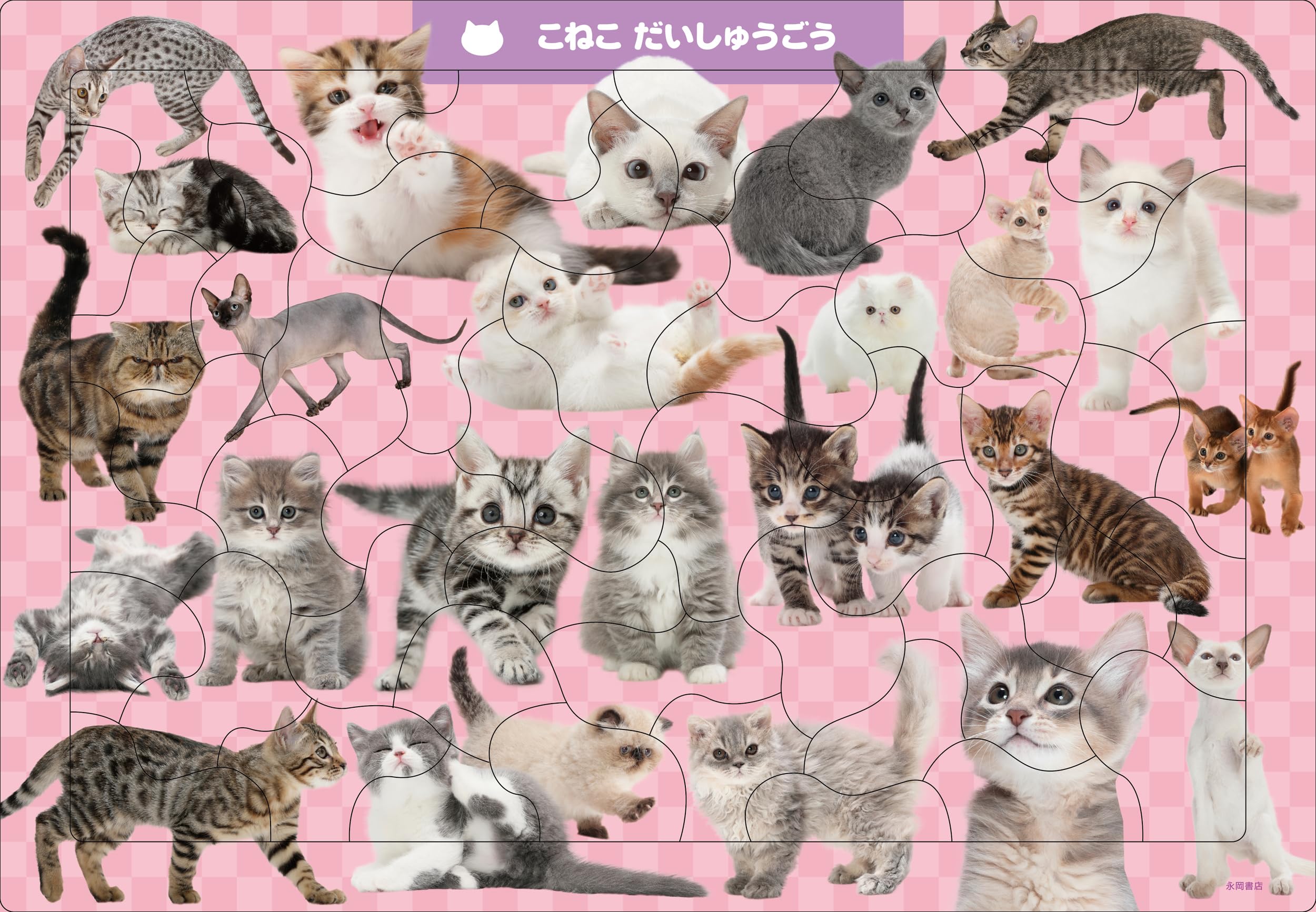 C07 こねこ だいしゅうごう 50ピース (頭のいい子を育む ジグソー知育