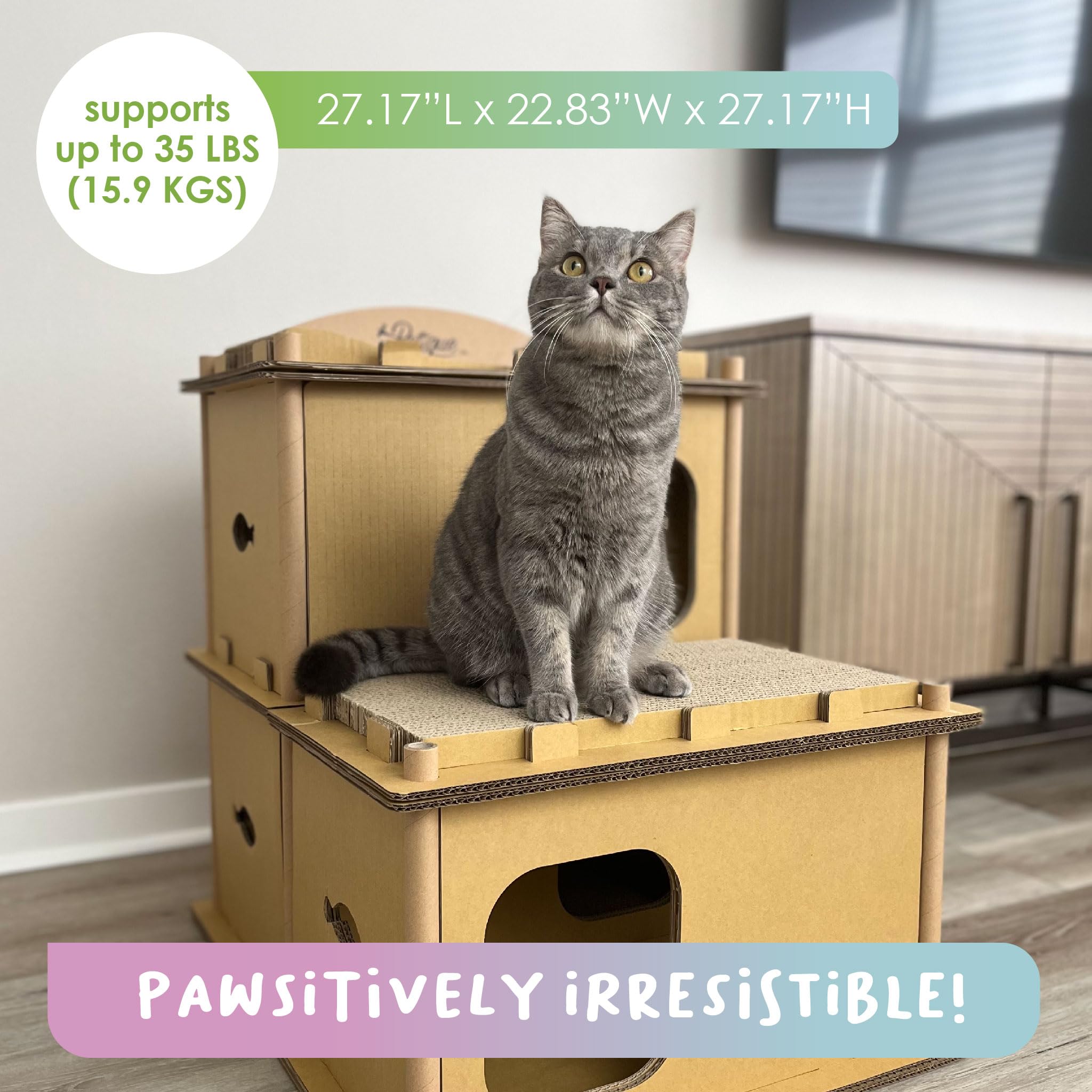 Amazon | Petique ペティーク Villa ヴィラ［猫 台湾製 高耐久 ペット