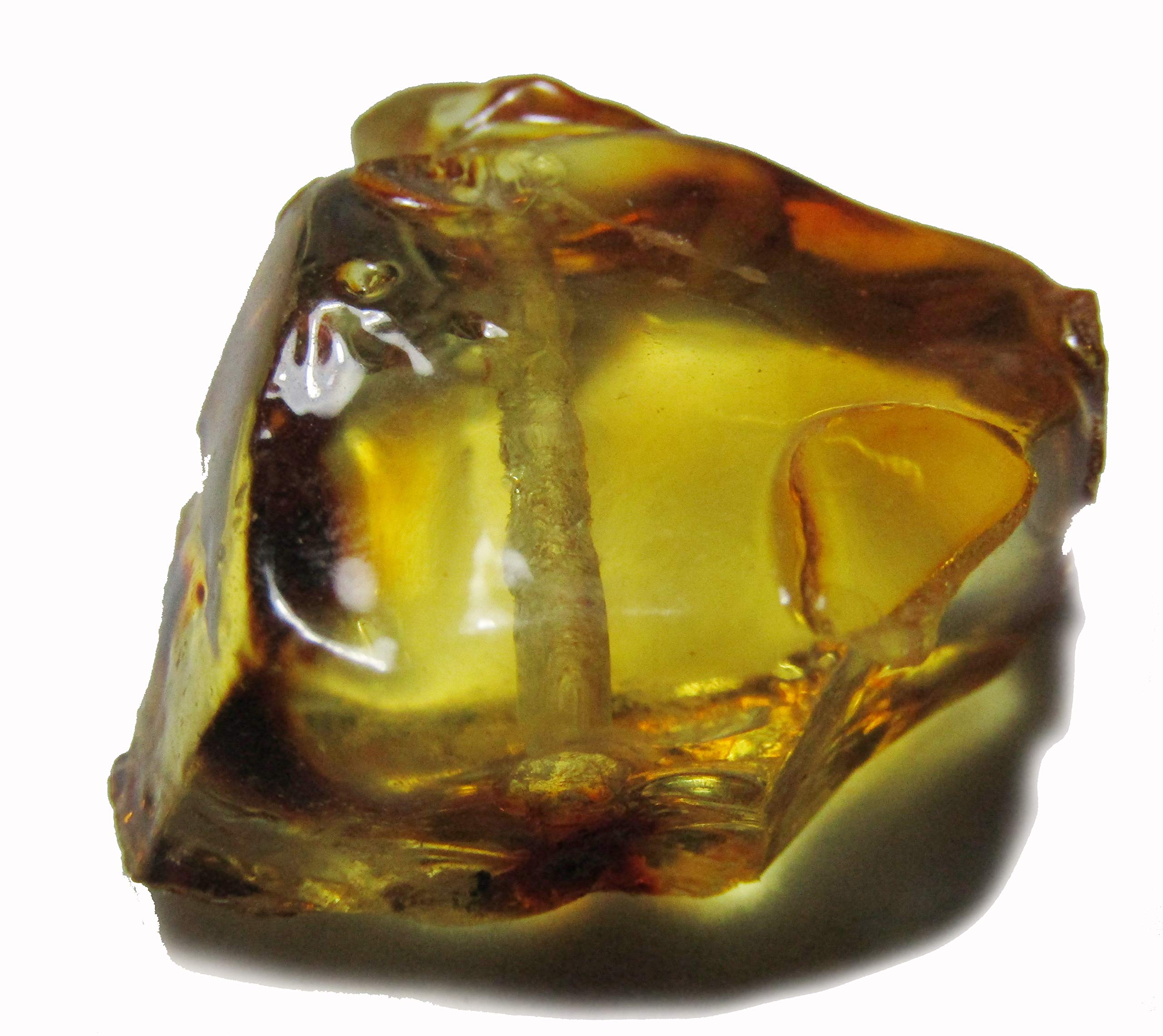 Pezzo di ambra naturale non trattato con foro per realizzare collana o bracciale, AMBAR