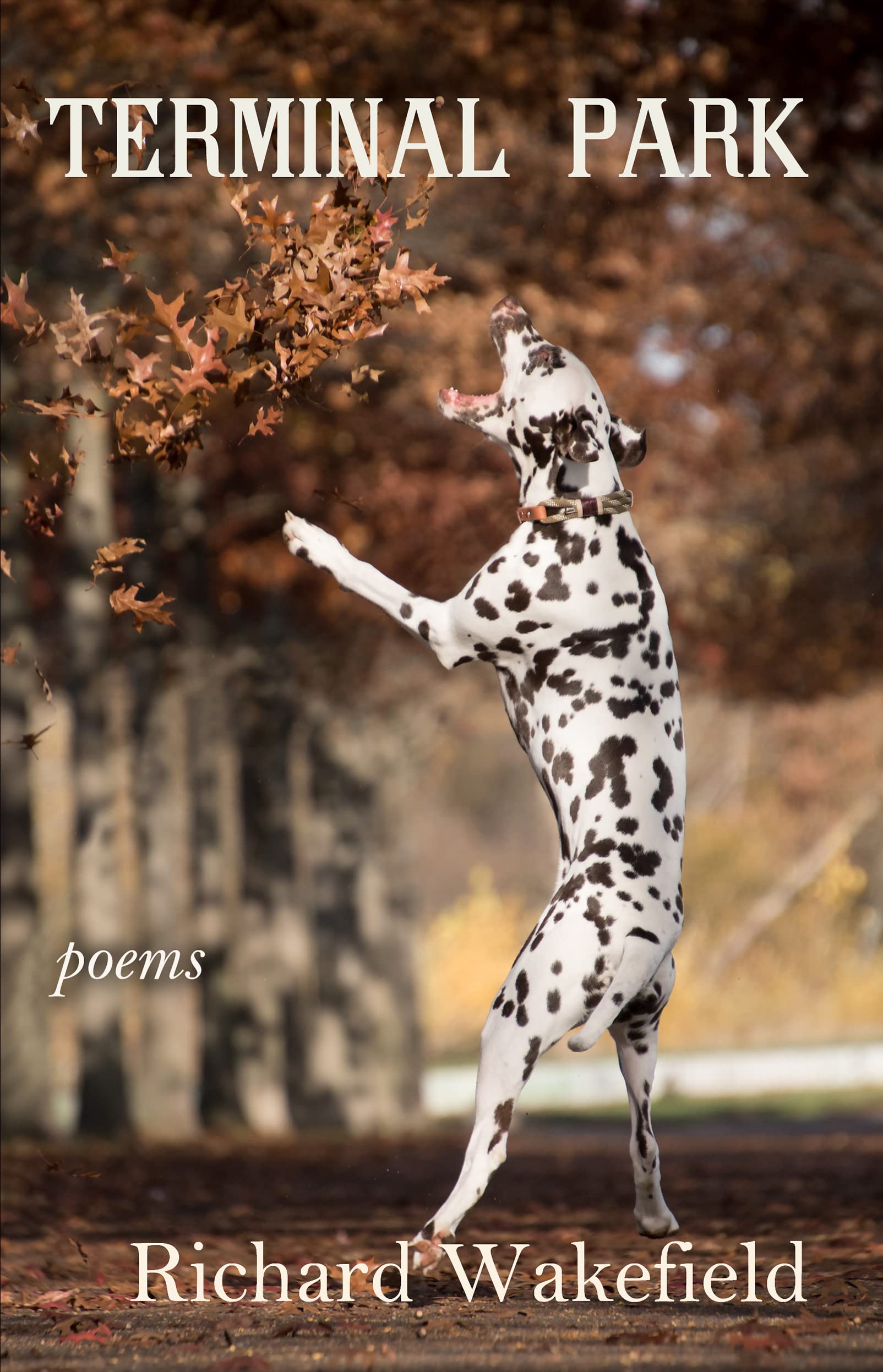 Terminal Park: Poems