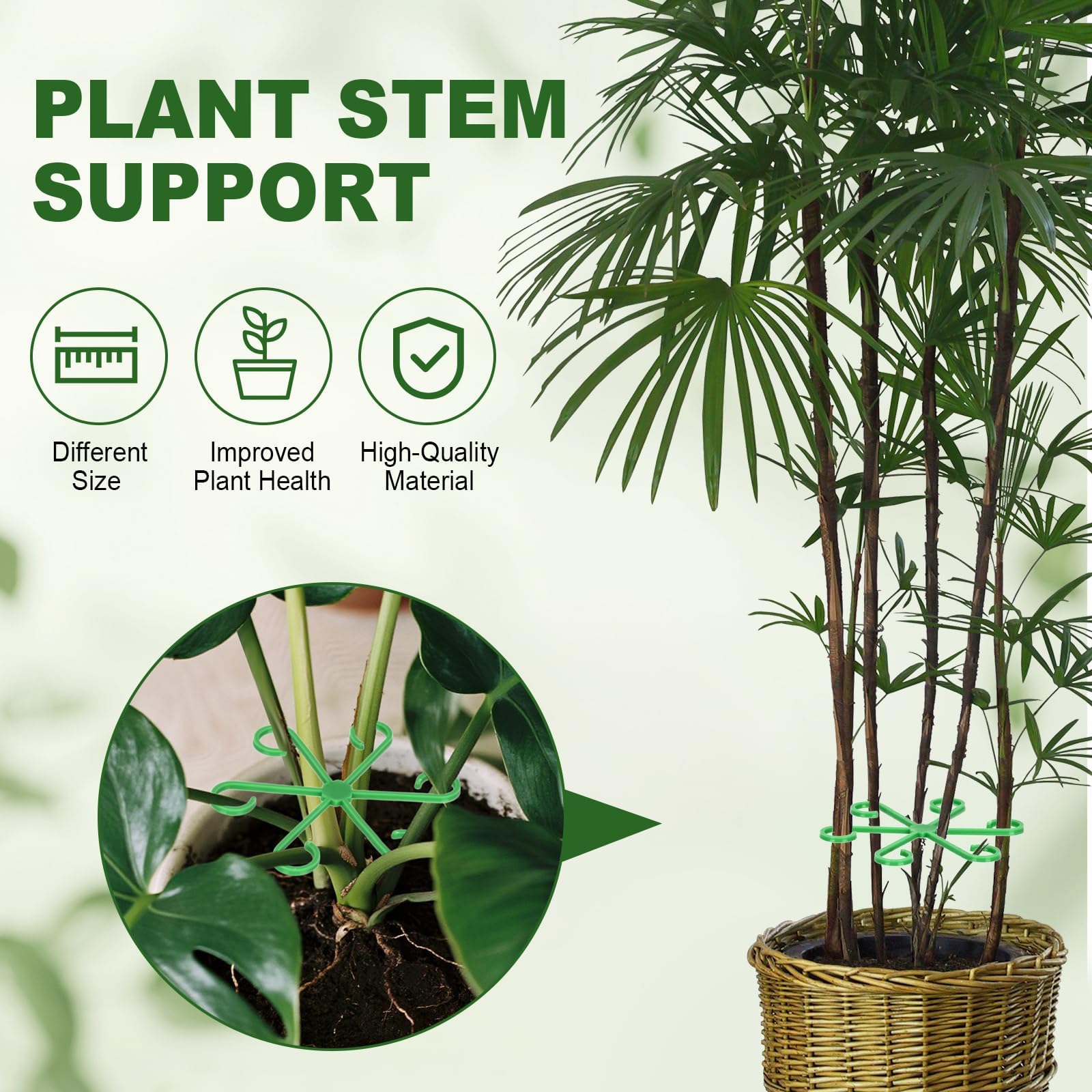 Plant Stem Supports - Stabilize Climbing Plants -4 Plant Stem Supports - Stabilize Climbing Plants -4