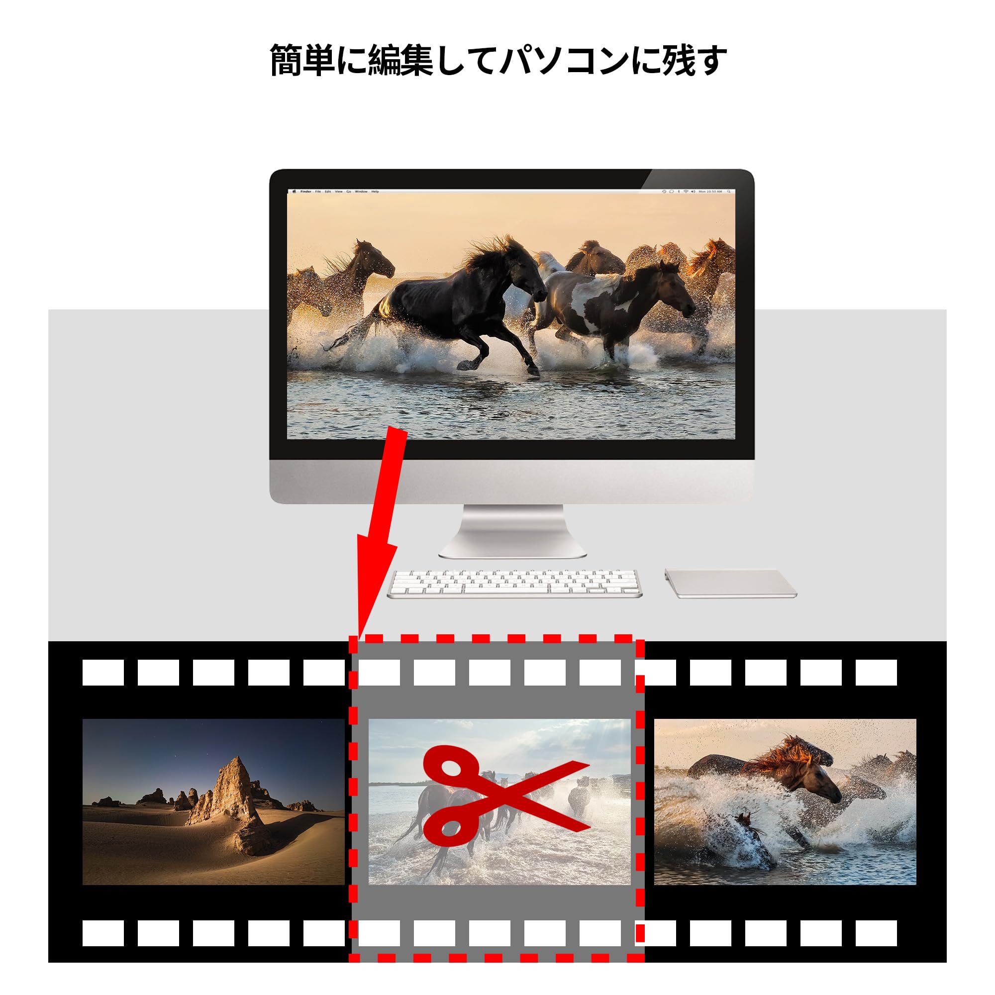 Amazon.co.jp: DriverGenius VDC2021 | USB 2.0 ビデオキャプチャー