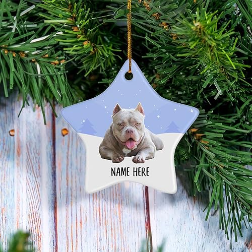 Miniatura 2 de Adornos de árbol de Navidad con nombre personalizado, diseño de estrella de cerámica, regalos de texto personalizados para mamá de perro