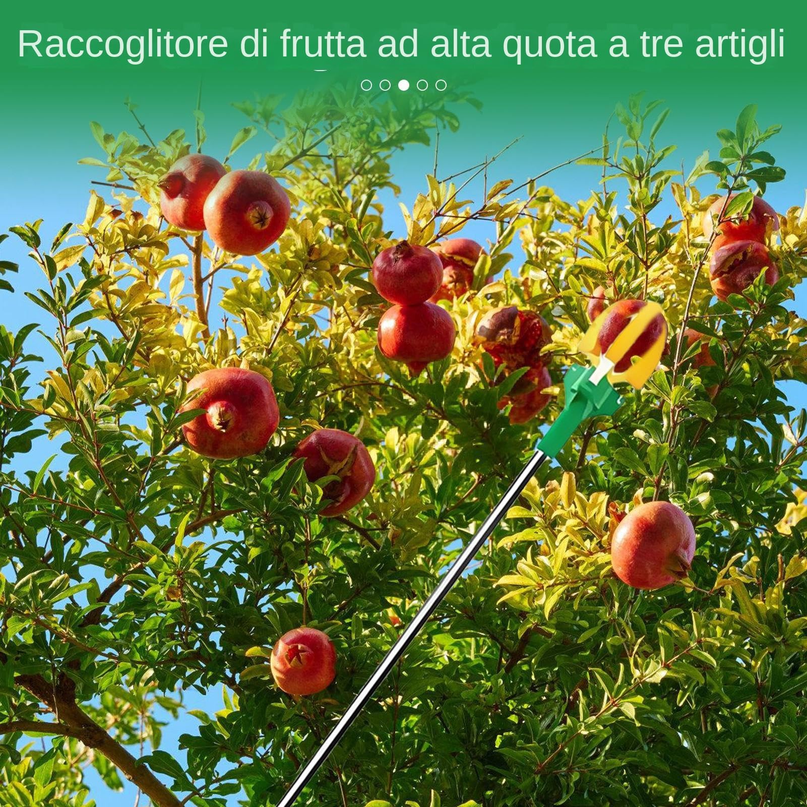 Raccoglifrutta,Attrezzo Telescopico a Tre Artigli per Raccogliere Frutta - Assistente Manuale Regolabile per Raccolto in Giardino e Frutteto