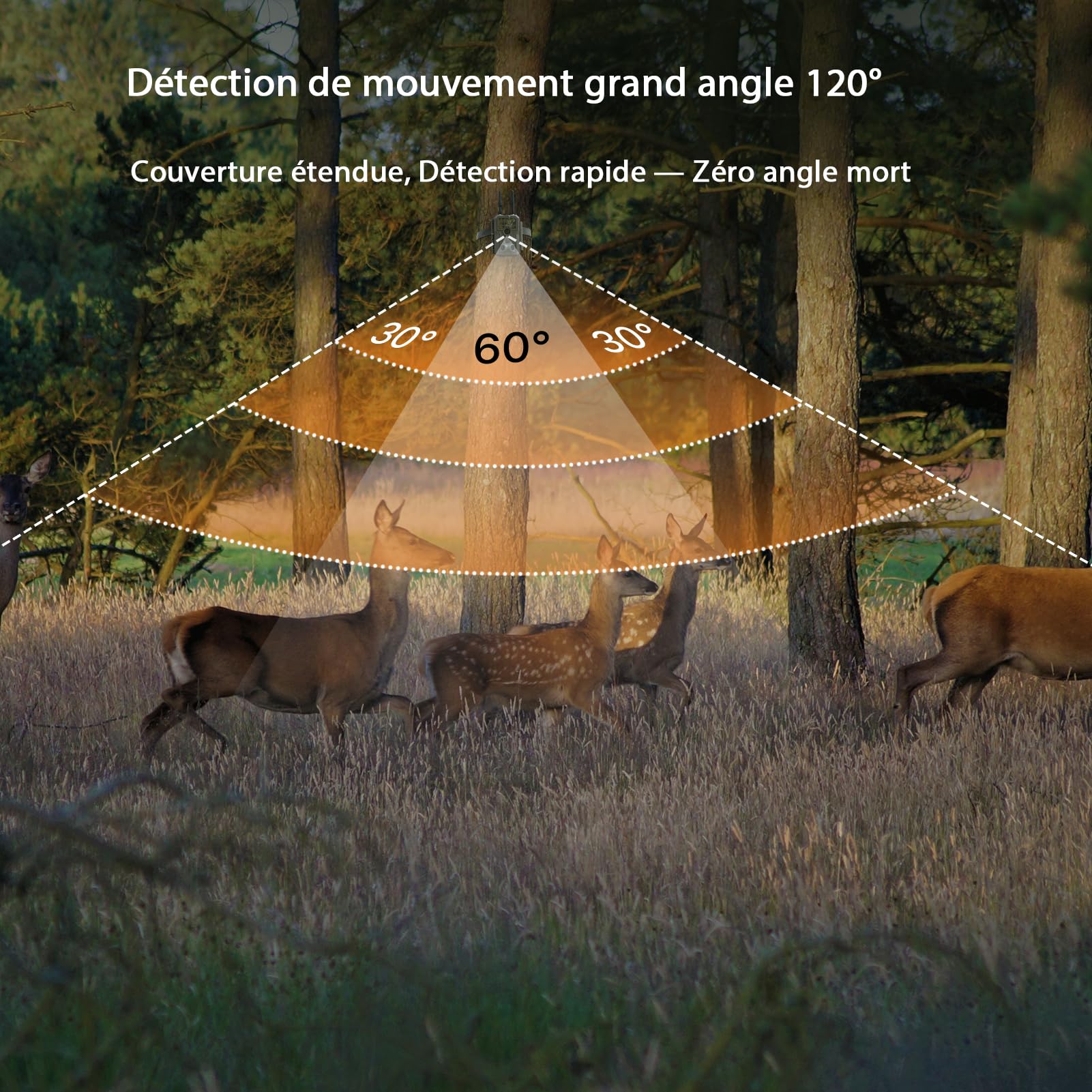 GardePro E8 2.0 Caméra De Chasse Double Antenne WiFi avec Carte SD 64Go, Vidéo 4K H.264 64MP, Jusqu' 30m No Glow Infrarouge Vision Nocturne, Vitesse de Dclenchement 0,1s et Angle de Dtection 120°