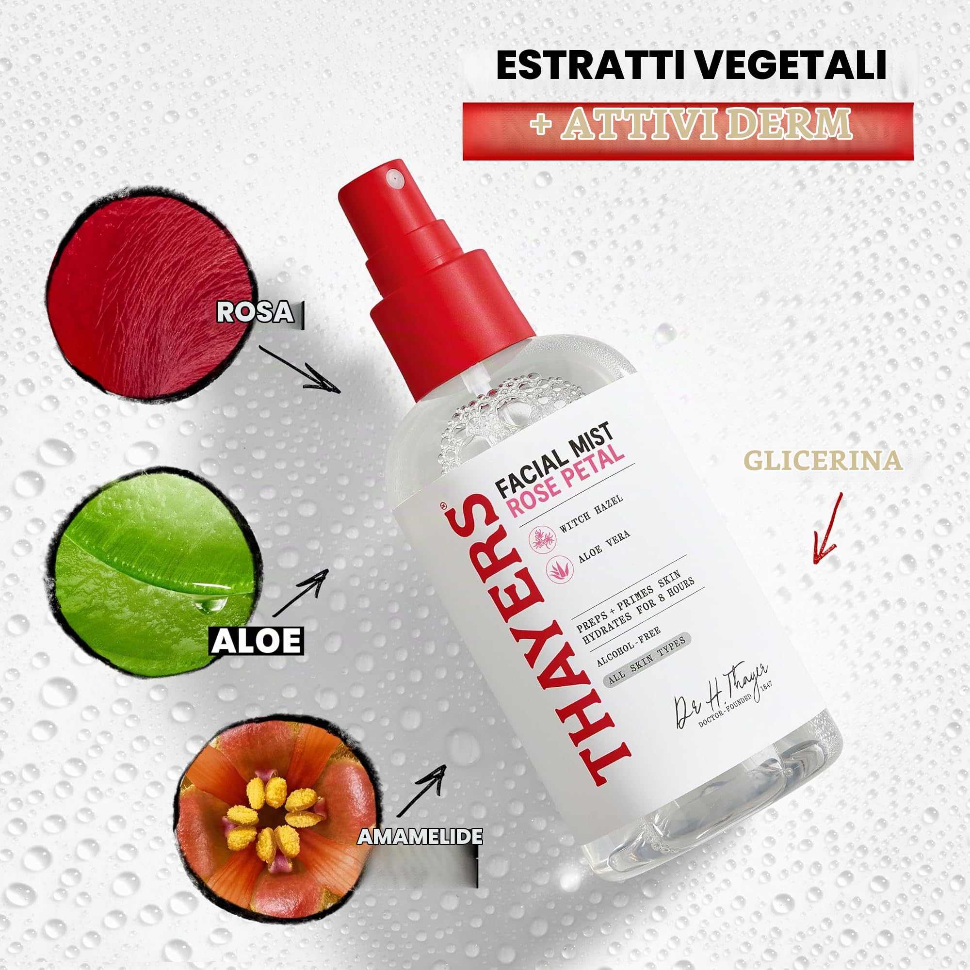Thayers Natural Remedies Lozione Nebbia Viso Delicata Amamelide Petali di Rosa con Aloe Vera Biologica, Luminosità Restringe Pori, Senza Crudeltà, Senza Alcool, Vegano, 237 ml