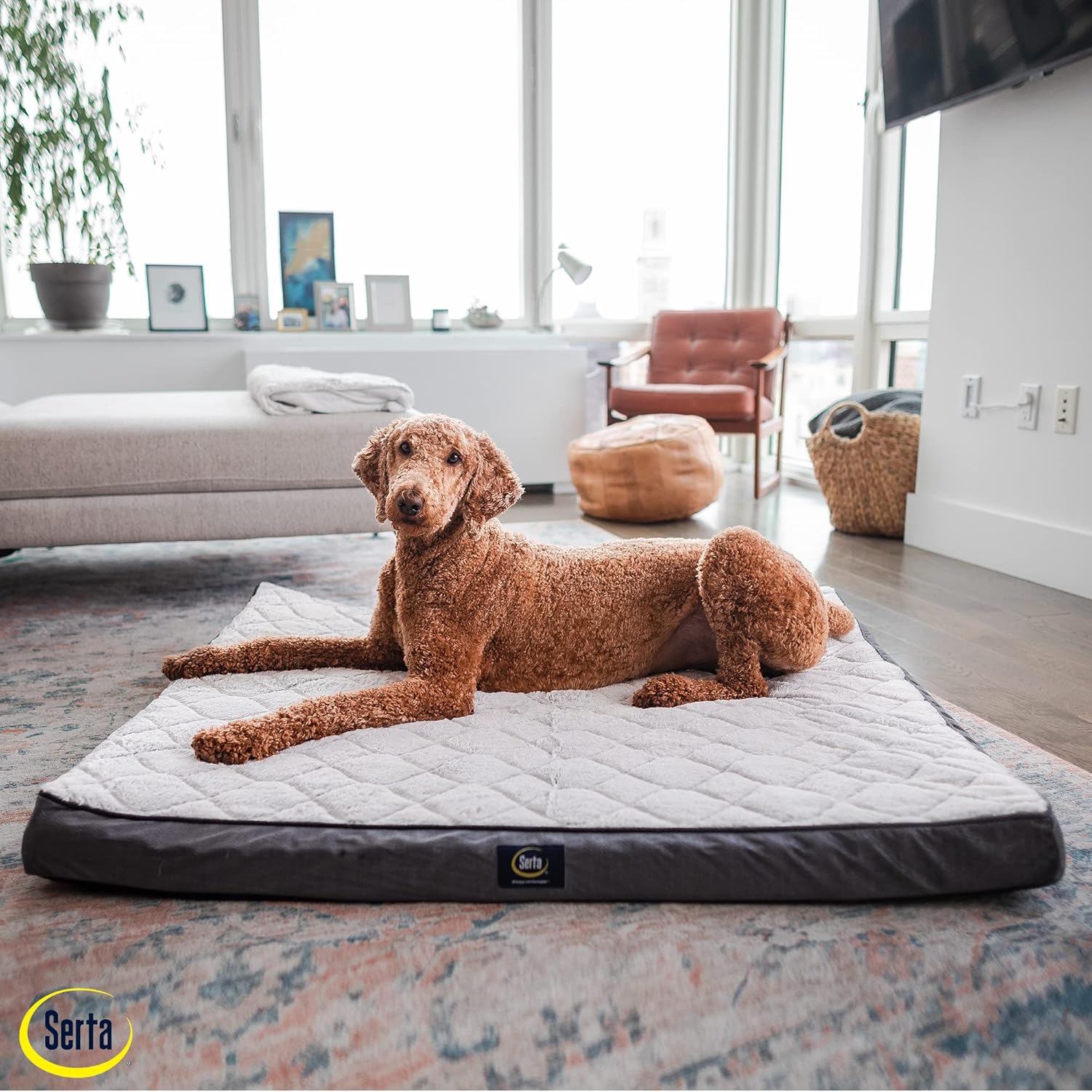 Serta Orthopedic Quilted Pillow Top Dog Bed for Pets – Slate Gray (X-Large)