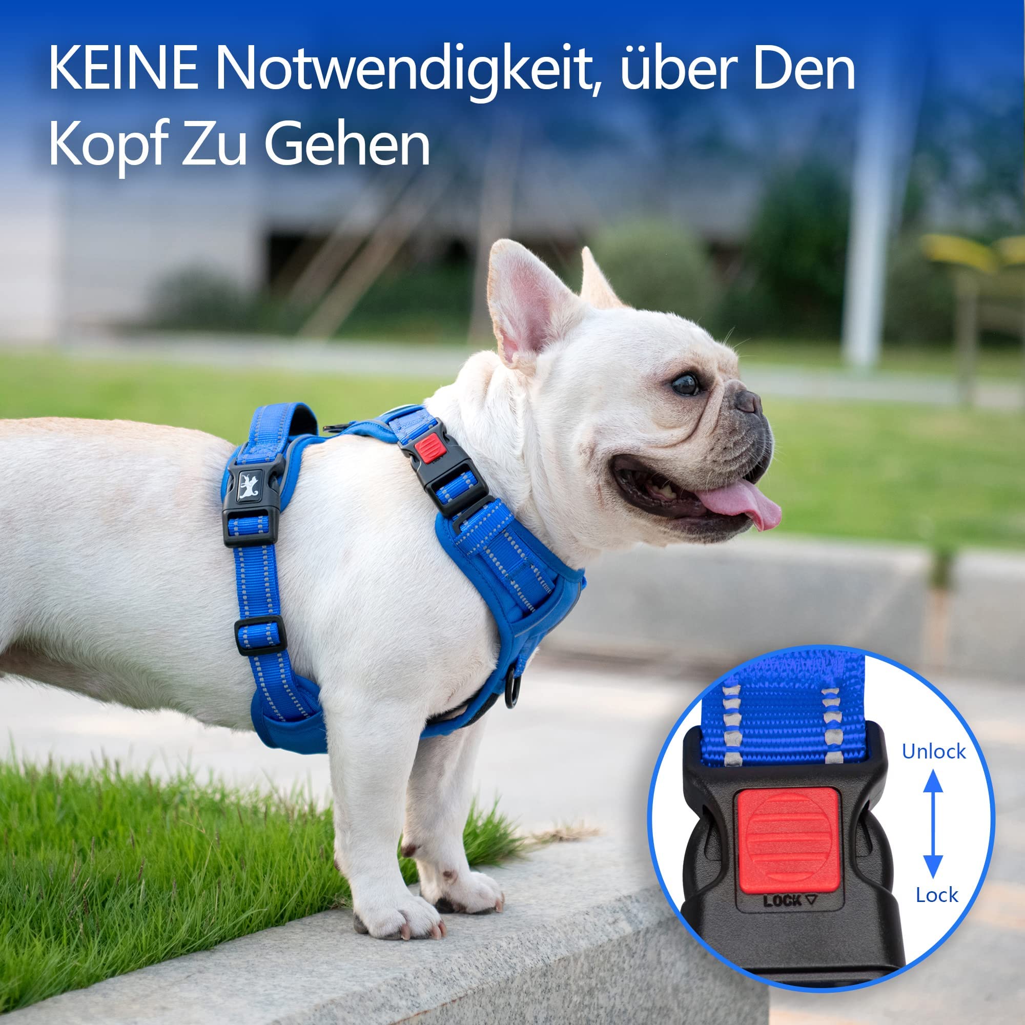 PoyPet Pettorina per cani senza tirare, Pettorina riflettente per cani senza strozzatore, Pettorina regolabile, imbottita e morbida con impugnatura Easy Control per cani da piccola a grande taglia