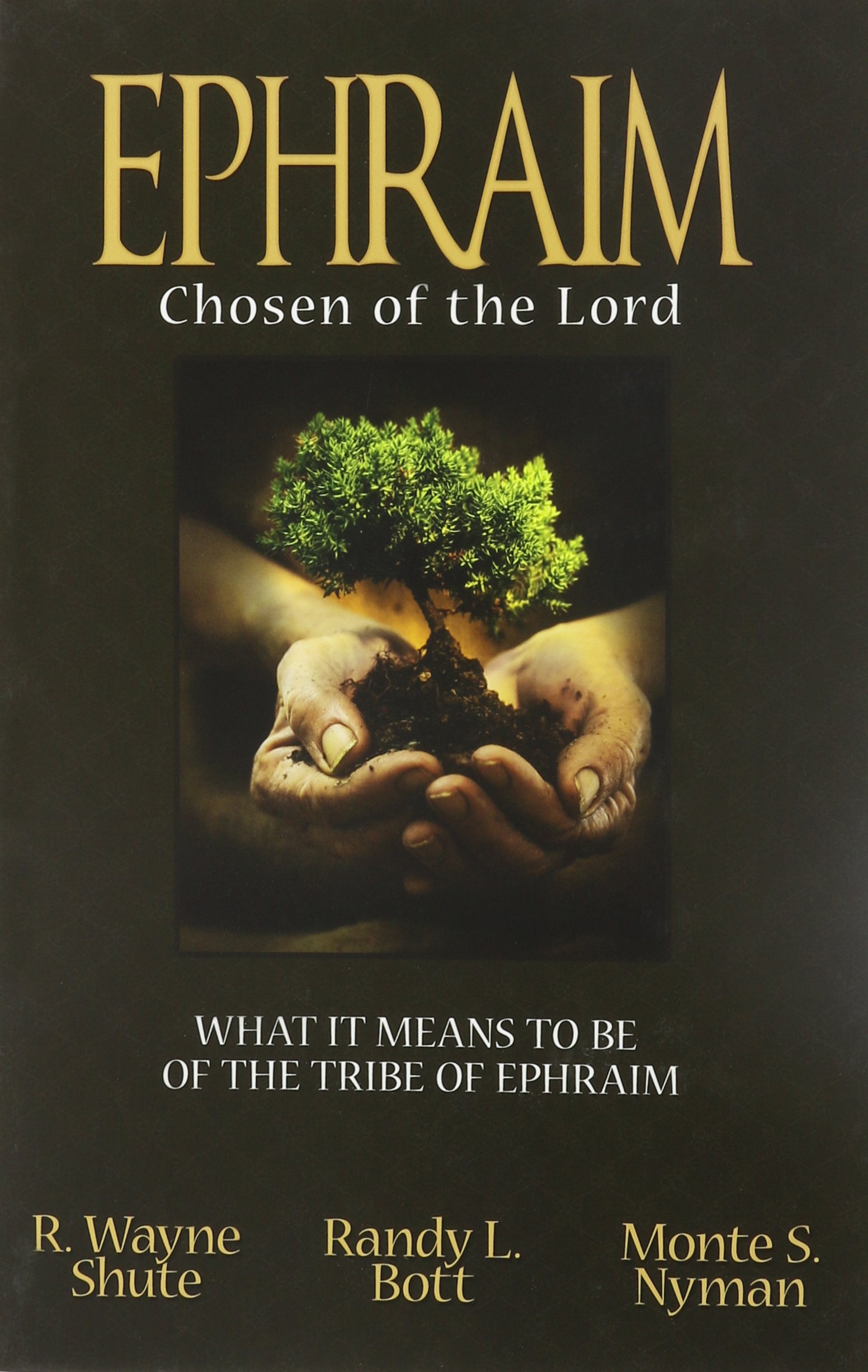 Buy Ephraim, Chosen of the Lord What it means to be of the tribe of