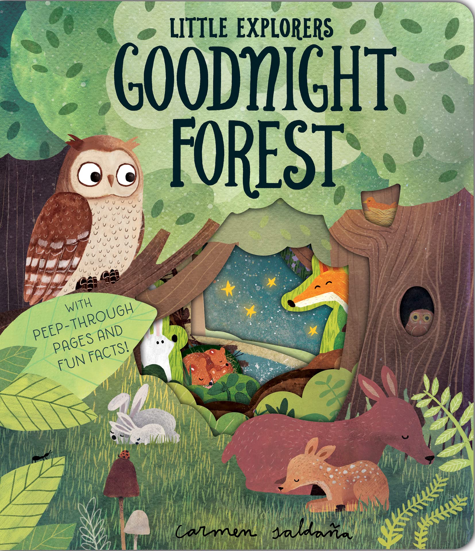Goodnight Forest (Little Explorers)