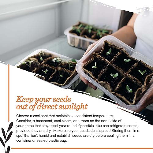 Miniatura 6 de Bentley Seed Garden Paquete variado  Semillas de vegetales tradicionales sin OMG para plantar, colección de hierbas surtidas, 11 paquetes de hierbas