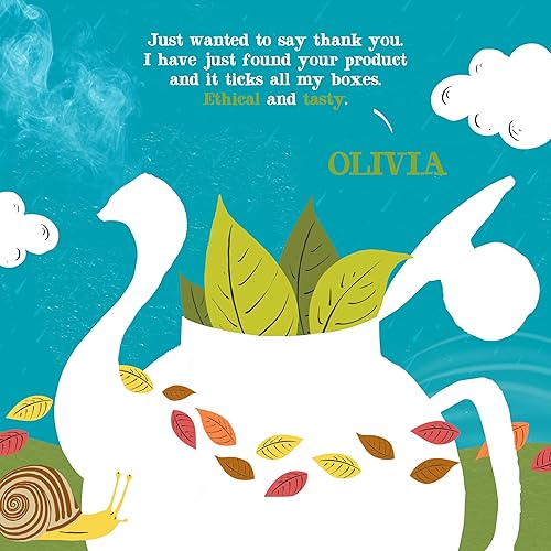 Miniatura 4 de Clipper Tea Organic Fairtrade Everyday - USDA Orgánico, sin OMG, comercio justo, té británico con cafeína sostenible, 1 paquete, 80 bolsas de té sin