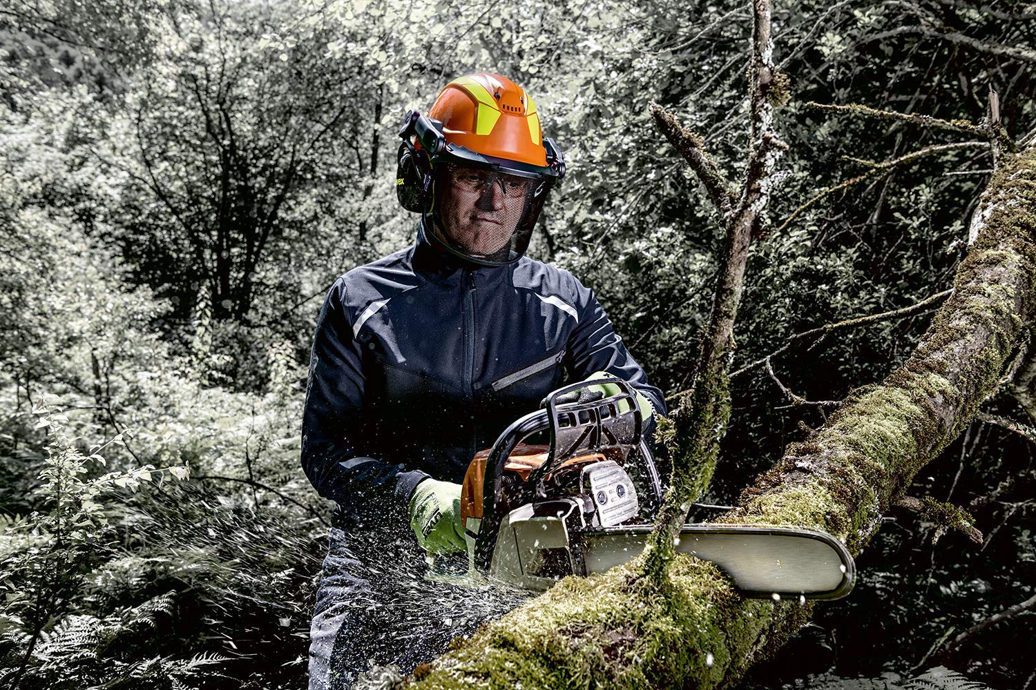 Uvex Pheos - Juego de casco forestal