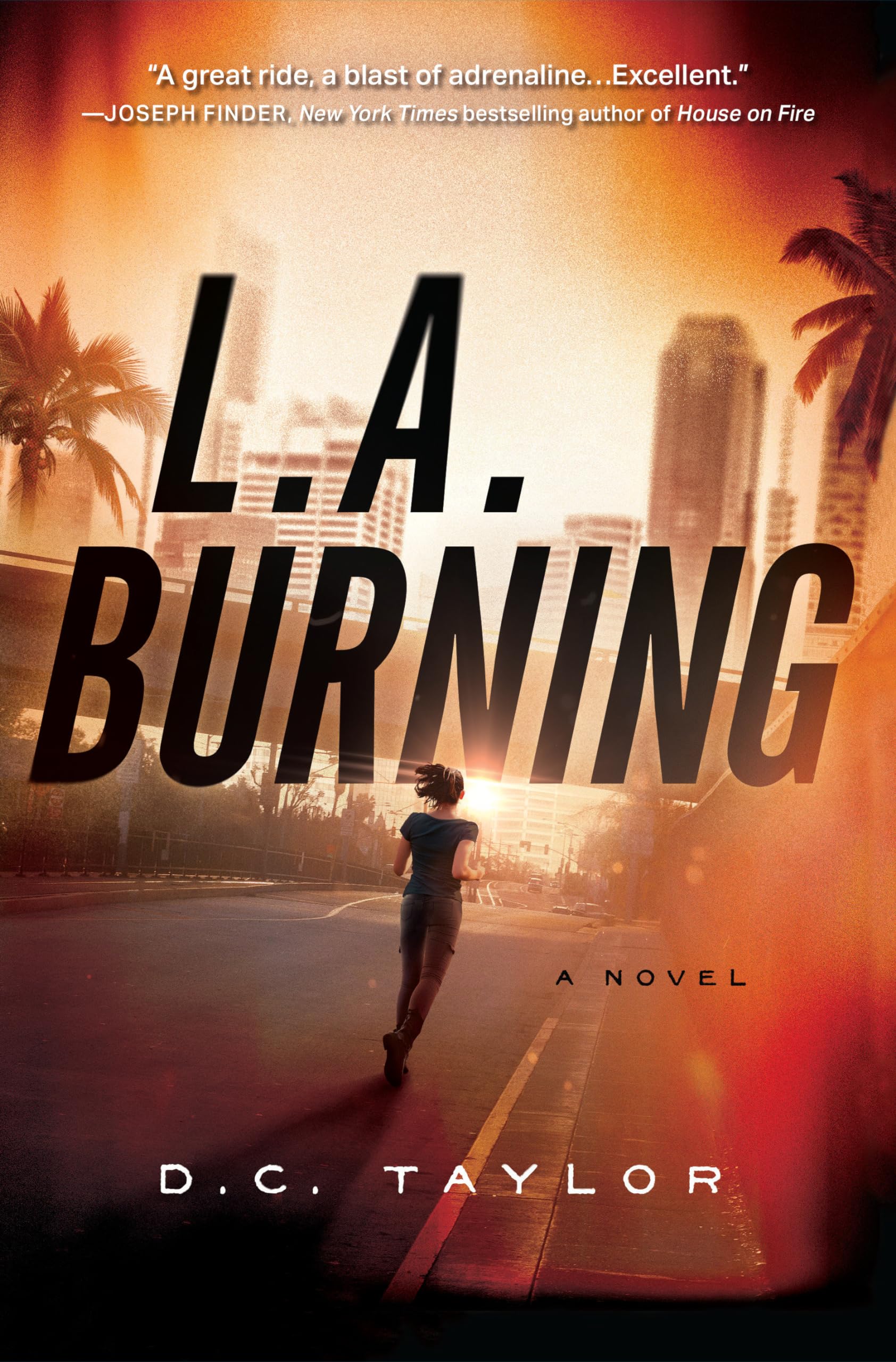 L.A. Burning A Novel by D.C. Taylor (Hardback Book)