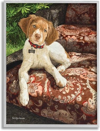 Stupell Industries Still Life Sueellen Ross - Silla de cachemira floral sentado con diseño de perro de campo, arte de pared enmarcado gris, 11 x 14