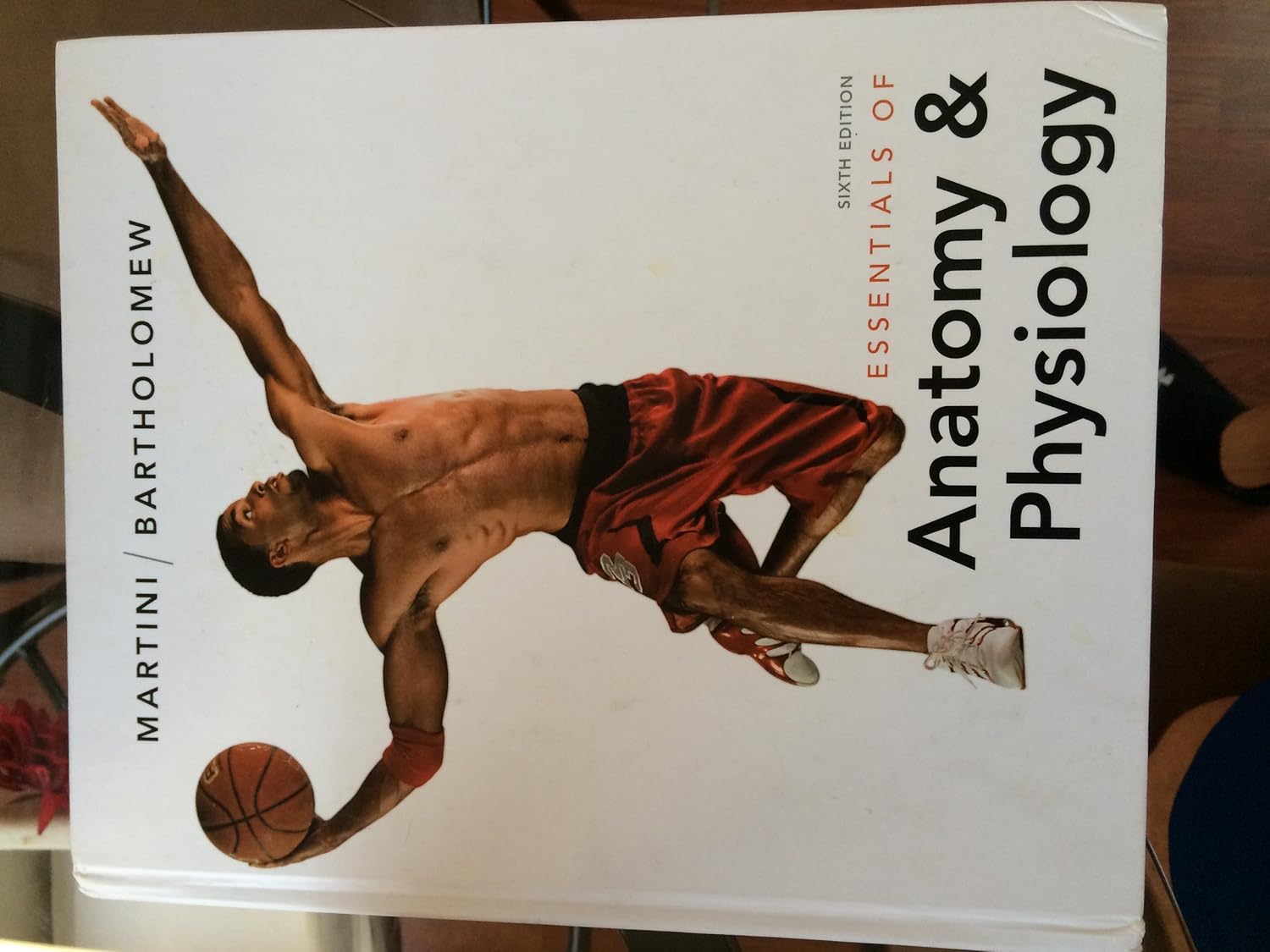 Essentials Of Anatomy Physiology 6e Martini