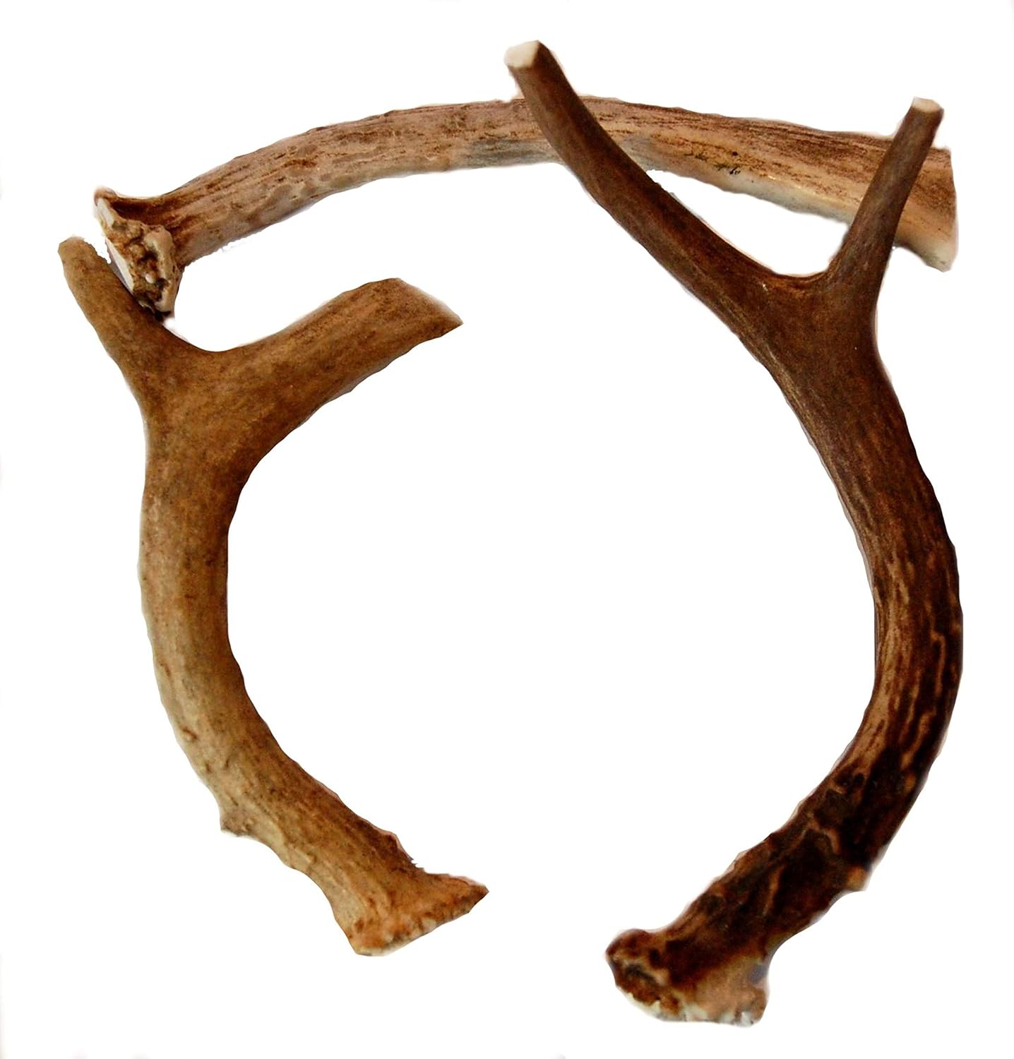 3 Pack Small Deer Antler Dog Chews - 5 Inches to 10 Inches - for Small Dogs - Big Dog Antler Chews