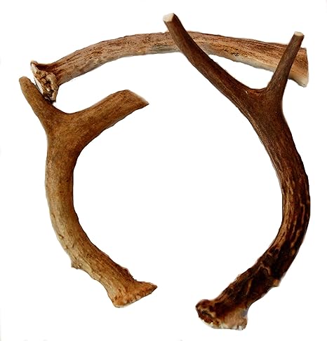 amazon antler chews