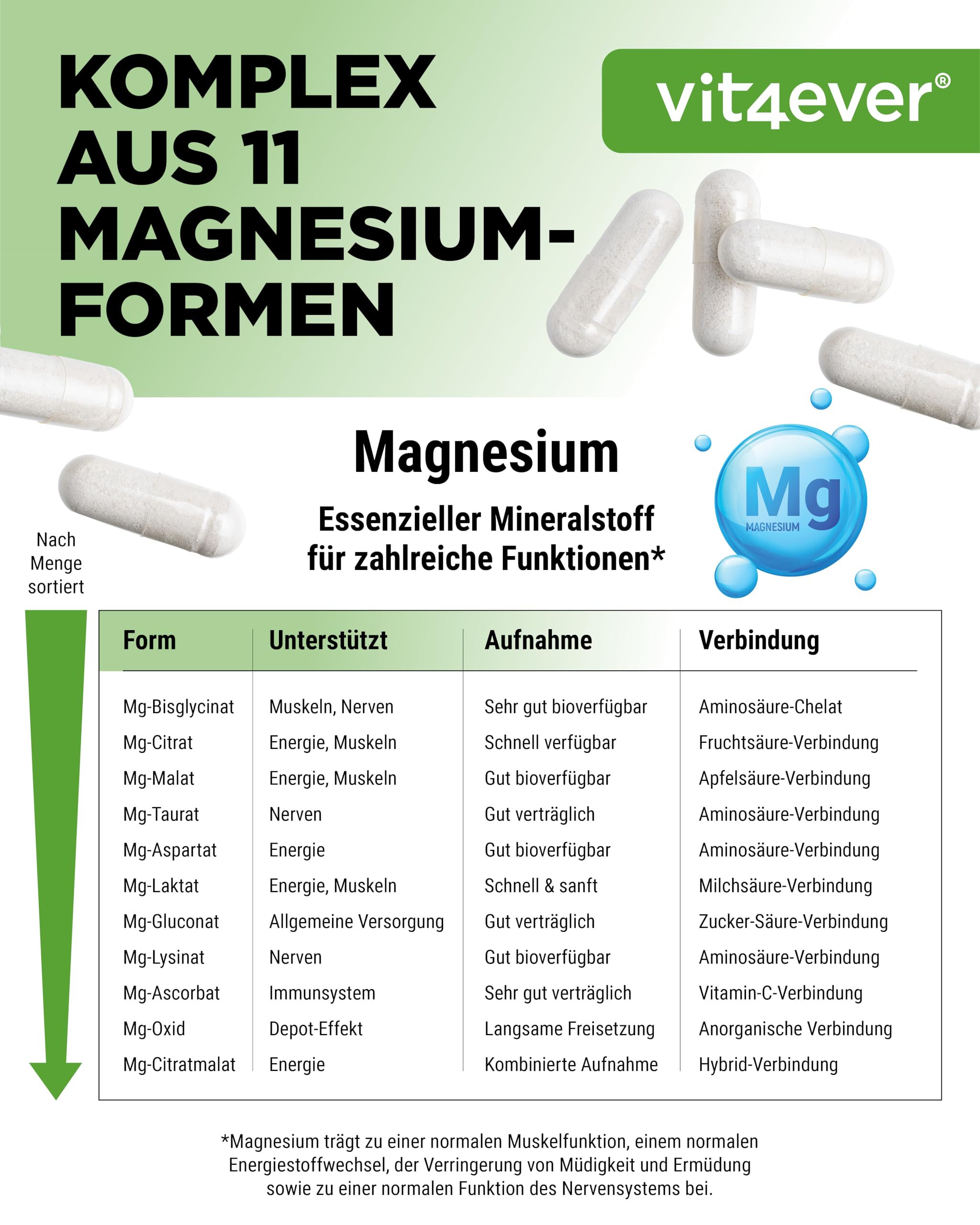 vit4ever Magnesium 11-fach Komplex - 240 Kapseln - aus 11 Verbindungen | 408 mg elementares Magnesium pro Tagesdosis, 11 hochwertige Magnesium-Formen, hohe Bioverfügbarkeit, vegan