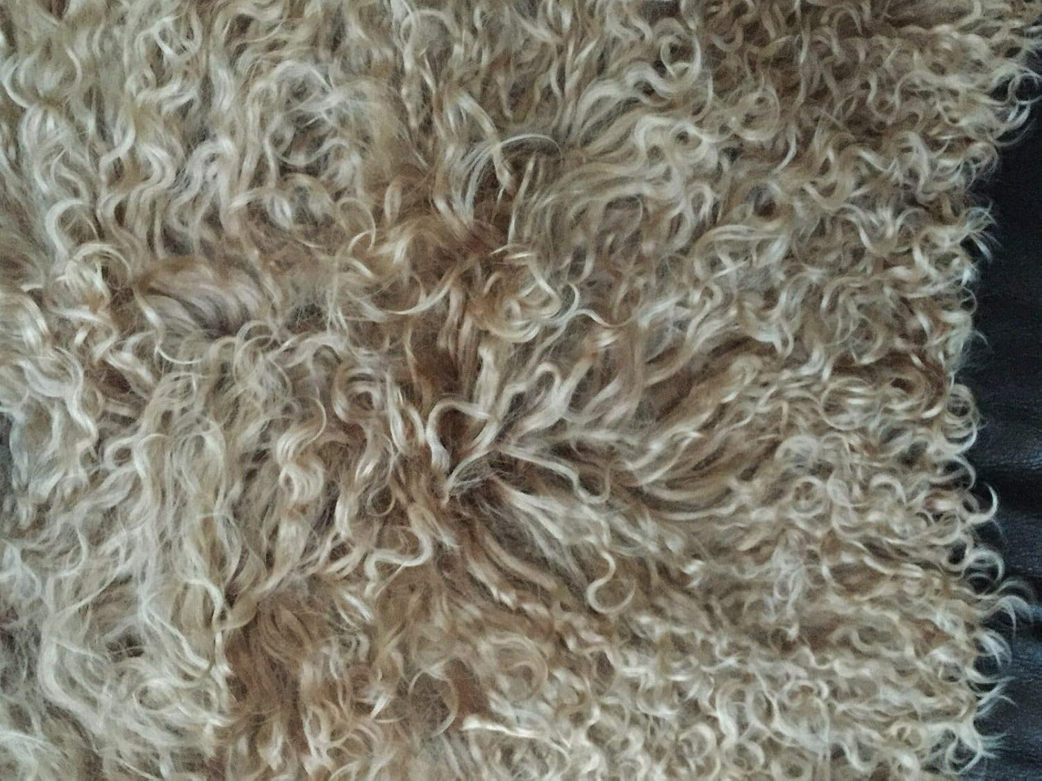 Seek4comfortable Tibetan Mongolian Pillowcase，Lamb Sheepskin Wool Fur Leather Cushion Cover (Khaki, 12 x 20 in)
